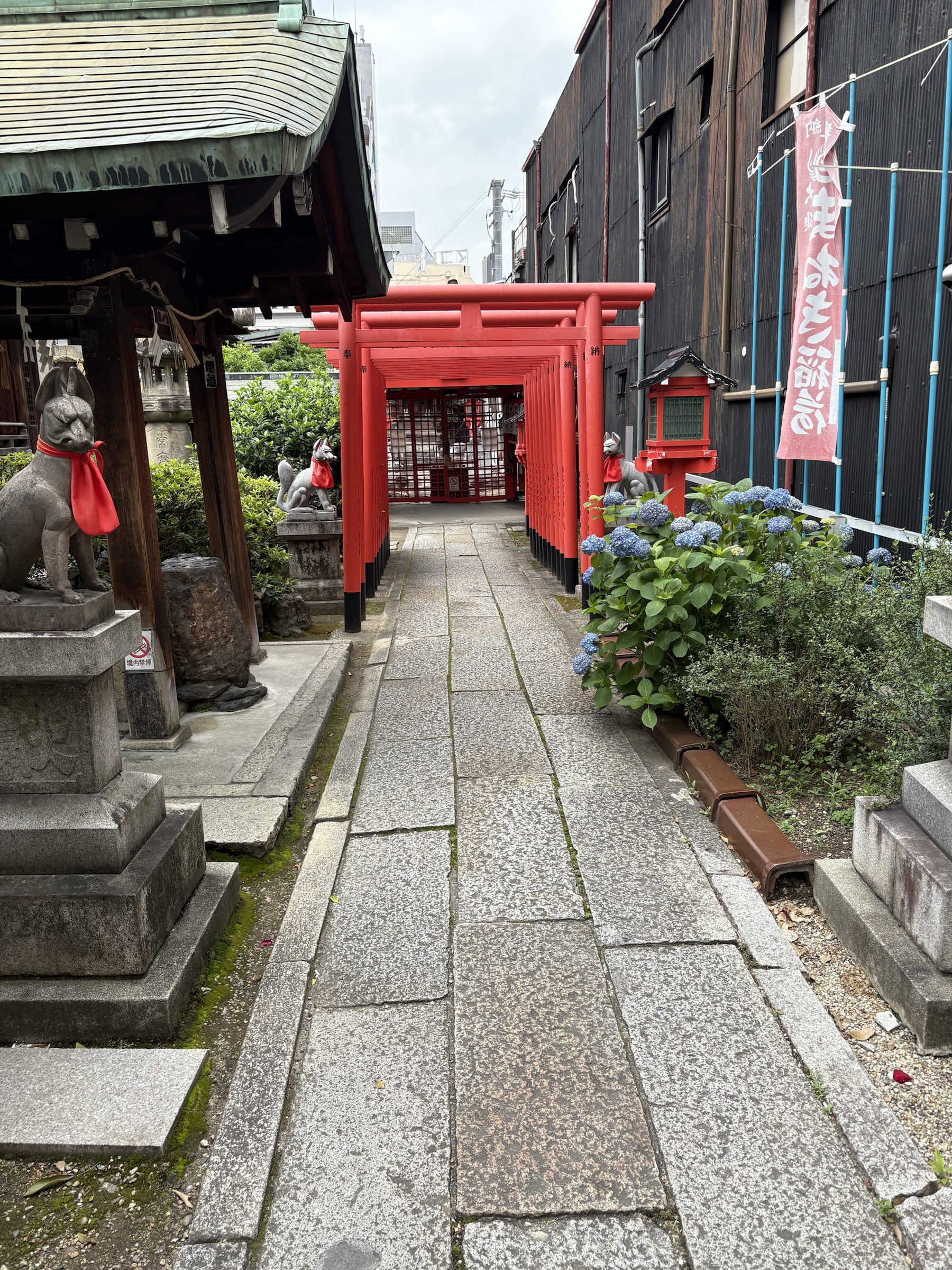 Gallery photo captured on May 23, 2025.