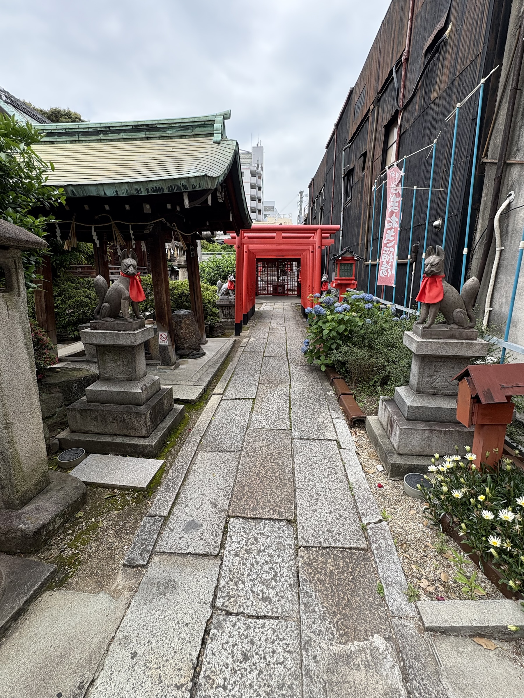 Gallery photo captured on May 23, 2025.