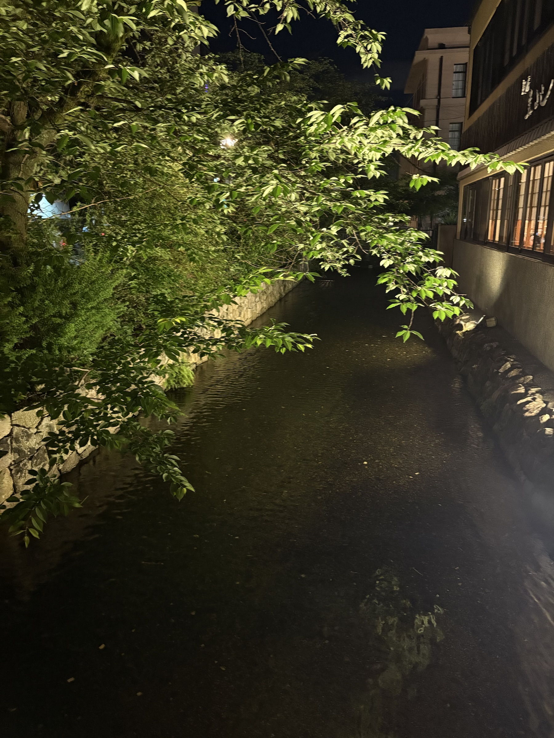 Gallery photo captured on May 25, 2025.