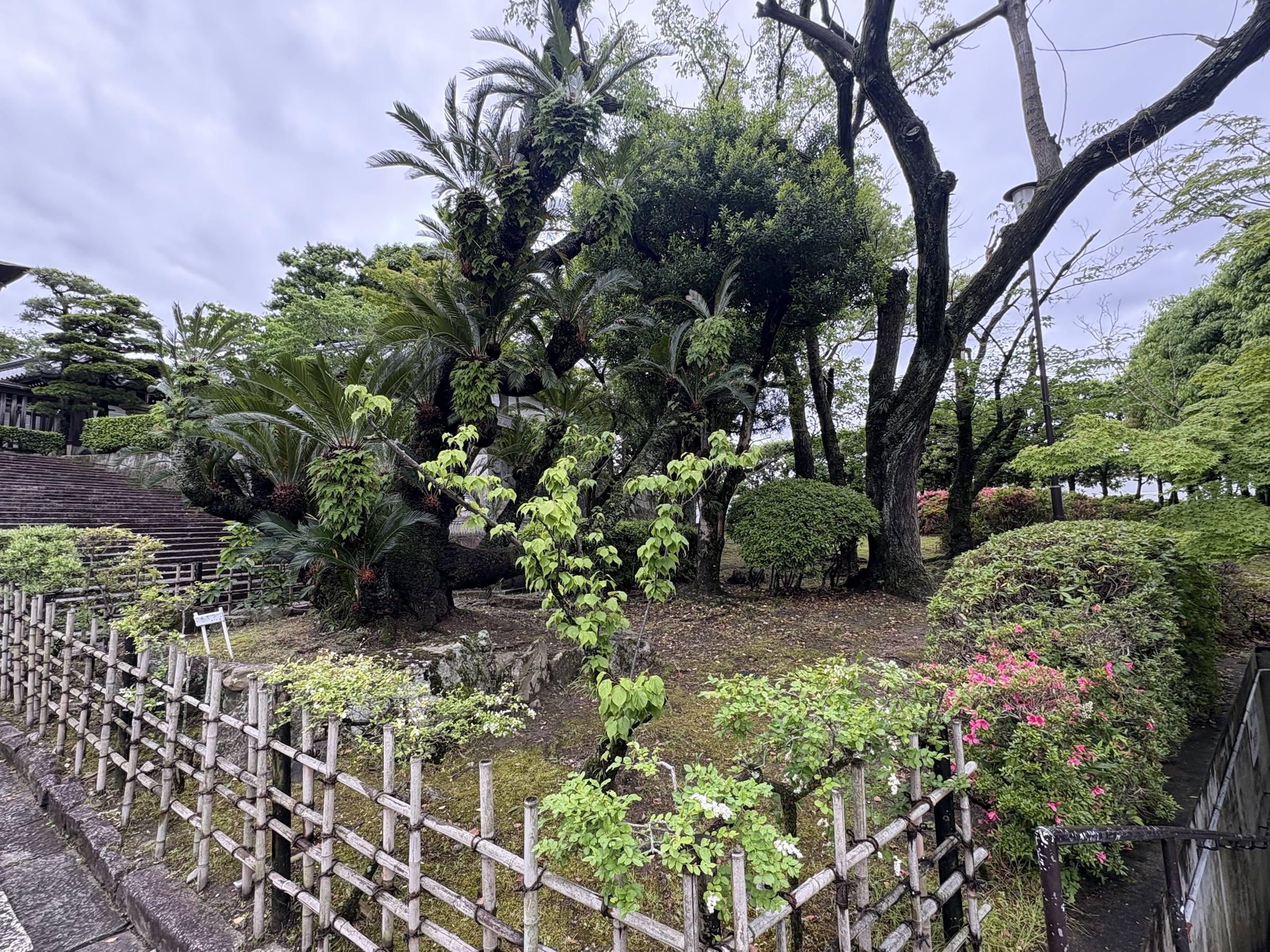 Gallery photo captured on May 25, 2025.