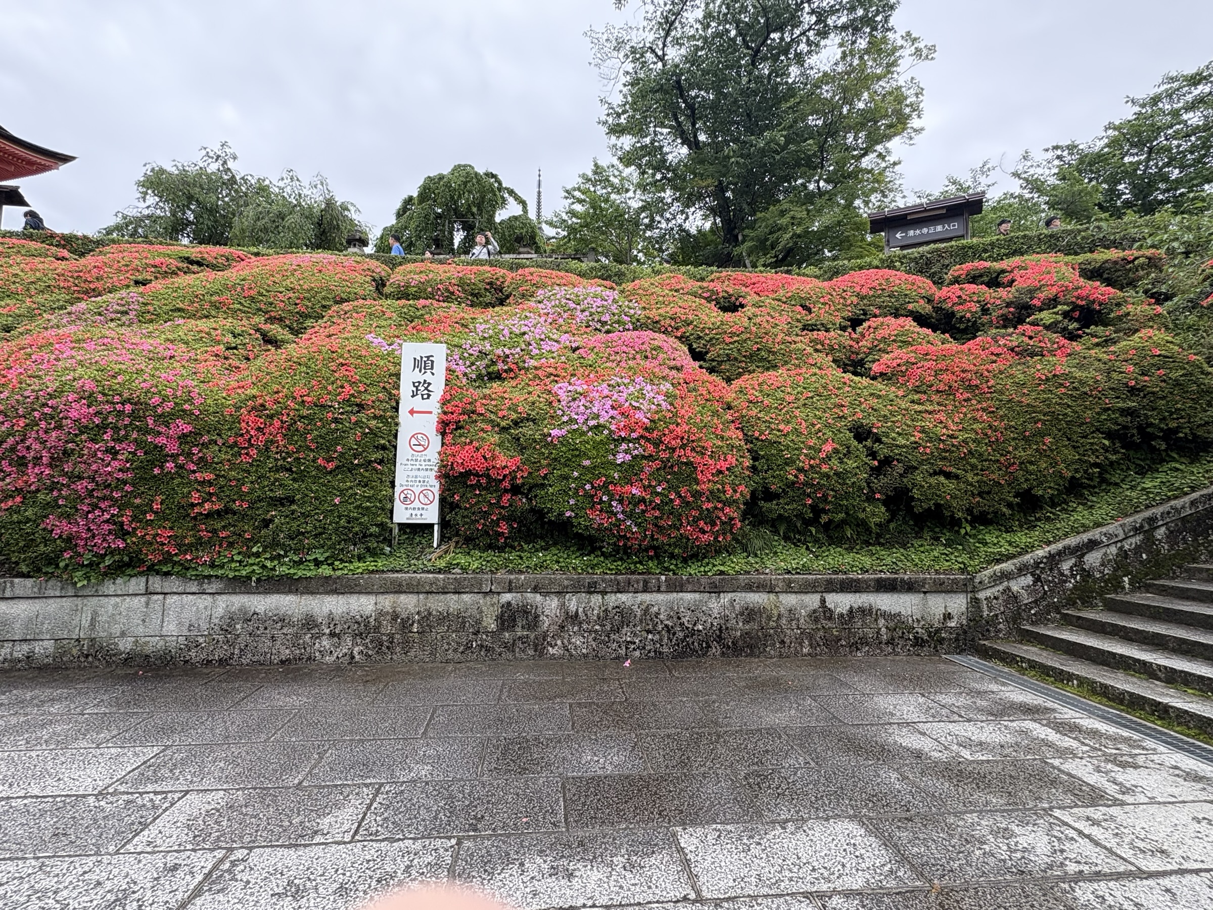 Gallery photo captured on May 25, 2025.