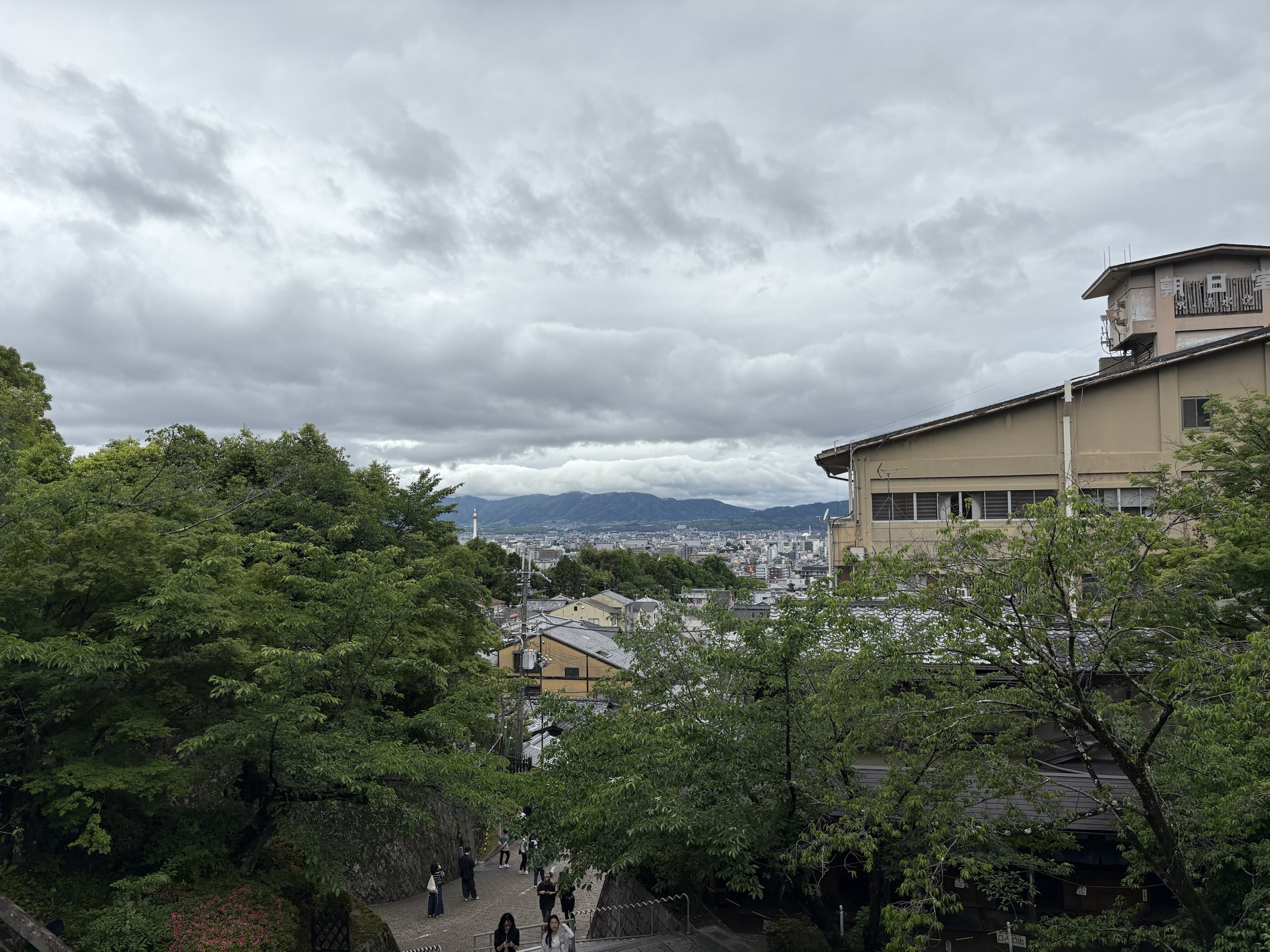 Gallery photo captured on May 25, 2025.