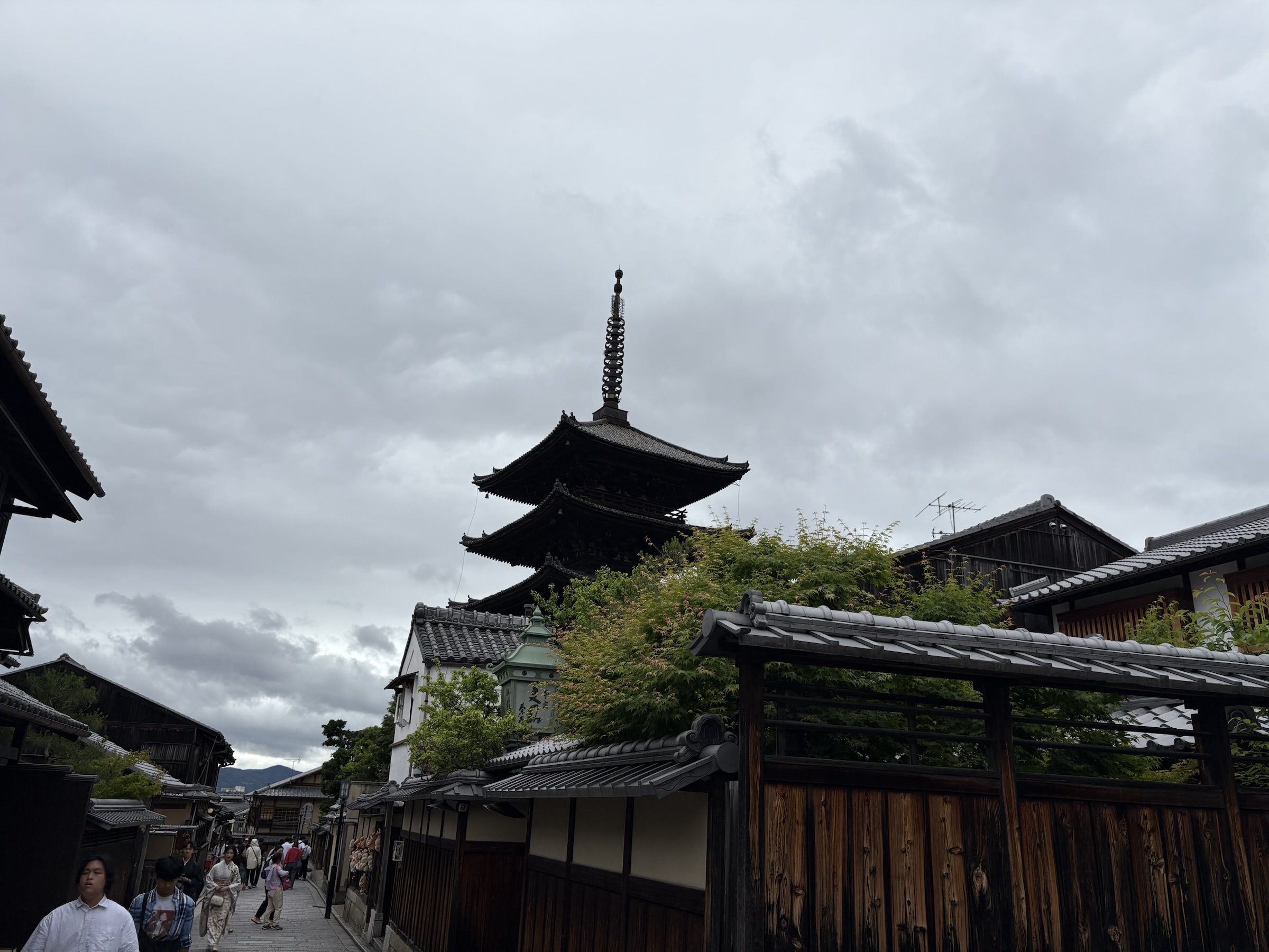 Gallery photo captured on May 25, 2025.