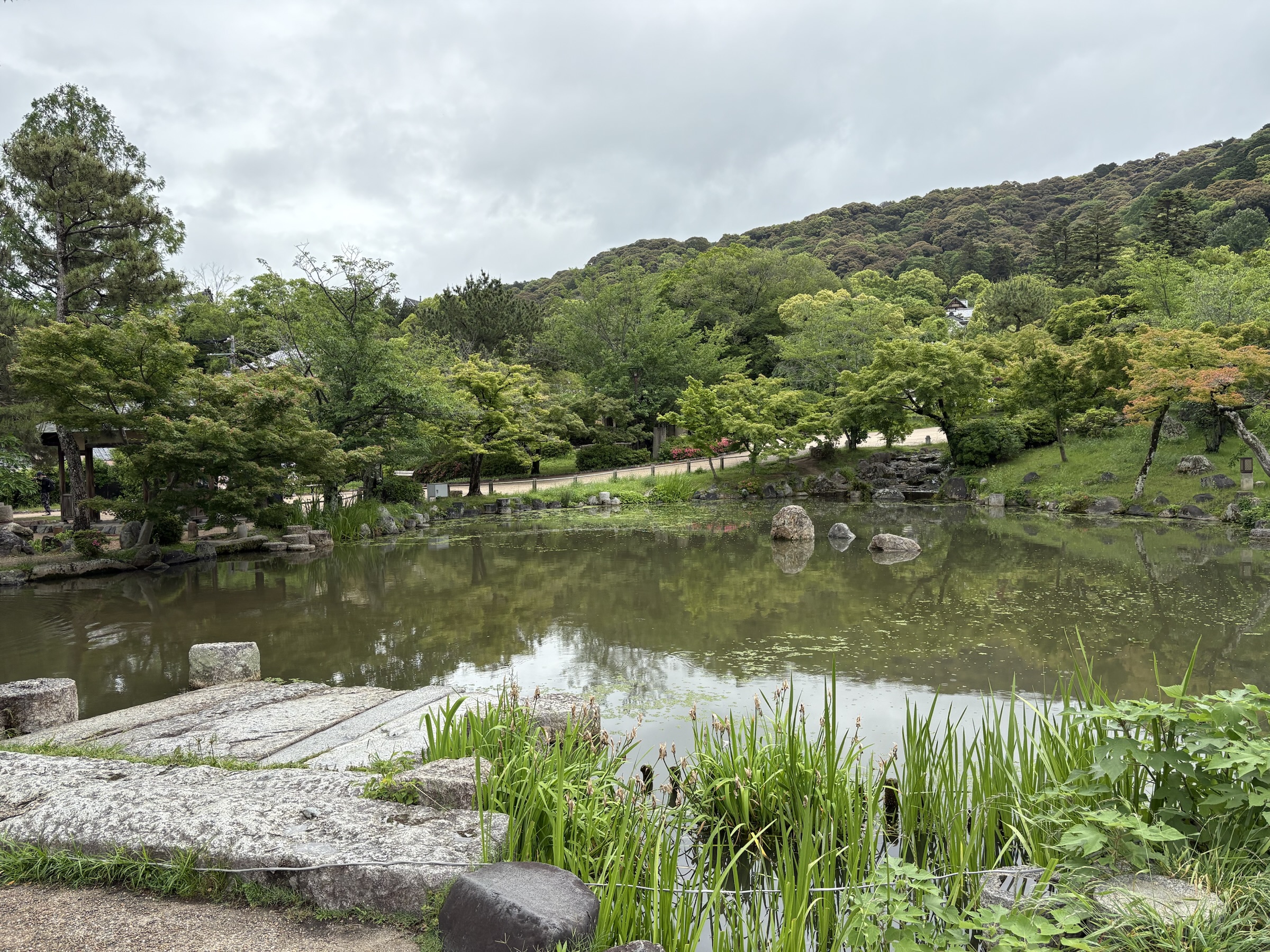 Gallery photo captured on May 25, 2025.