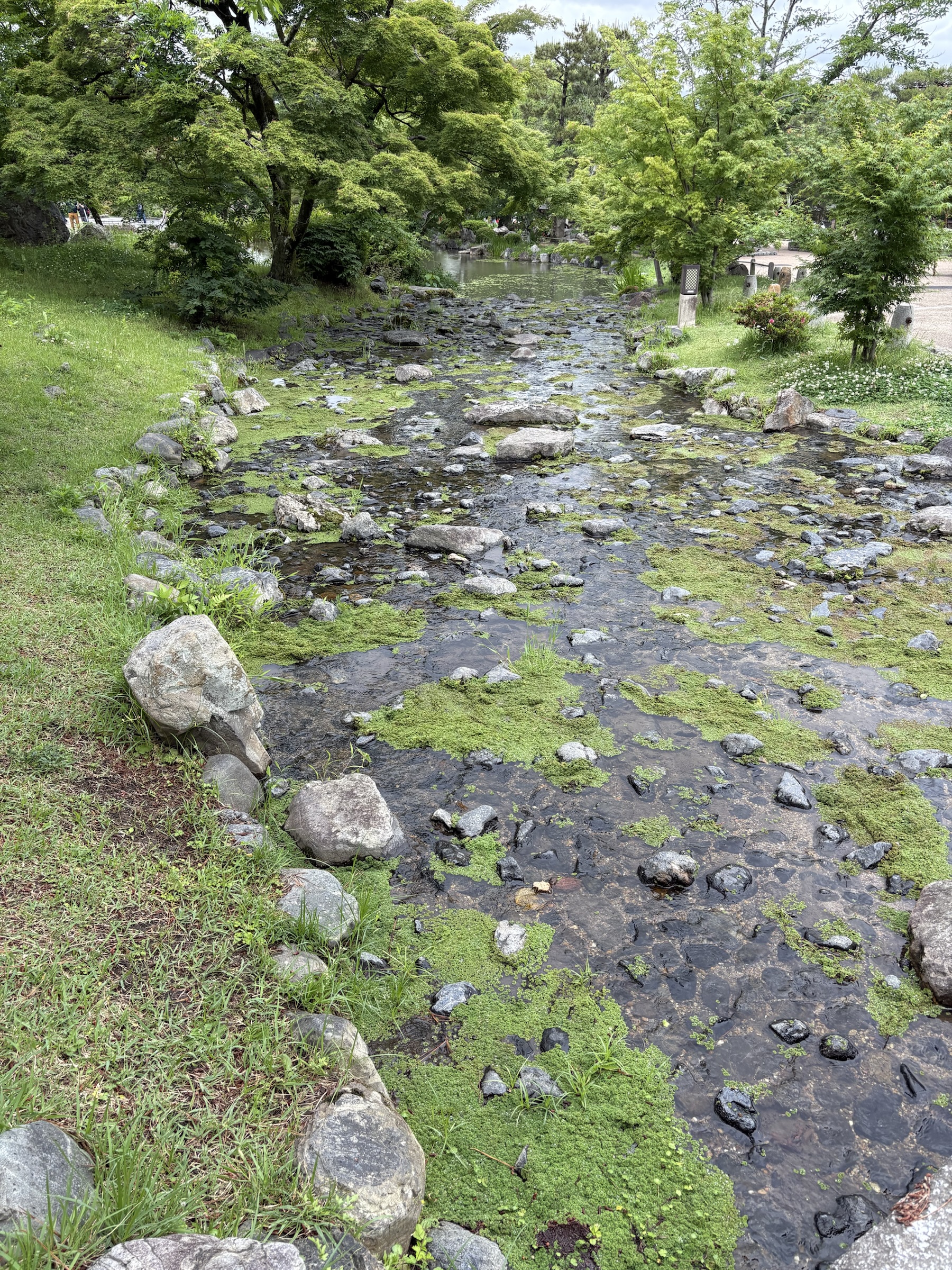 Gallery photo captured on May 25, 2025.