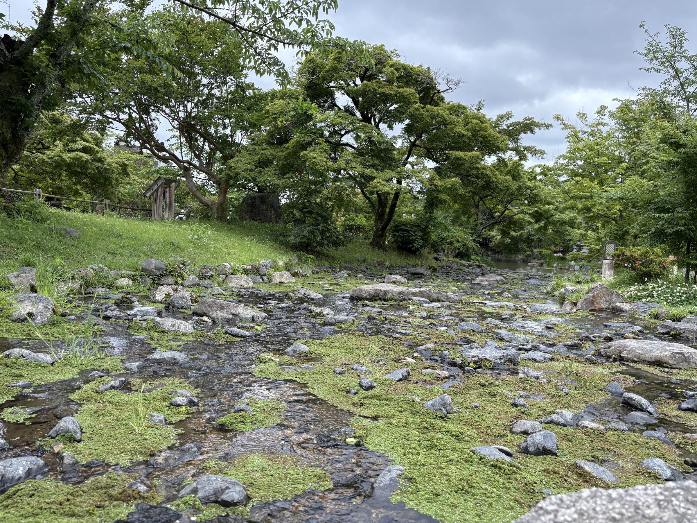 Gallery photo captured on May 25, 2025.