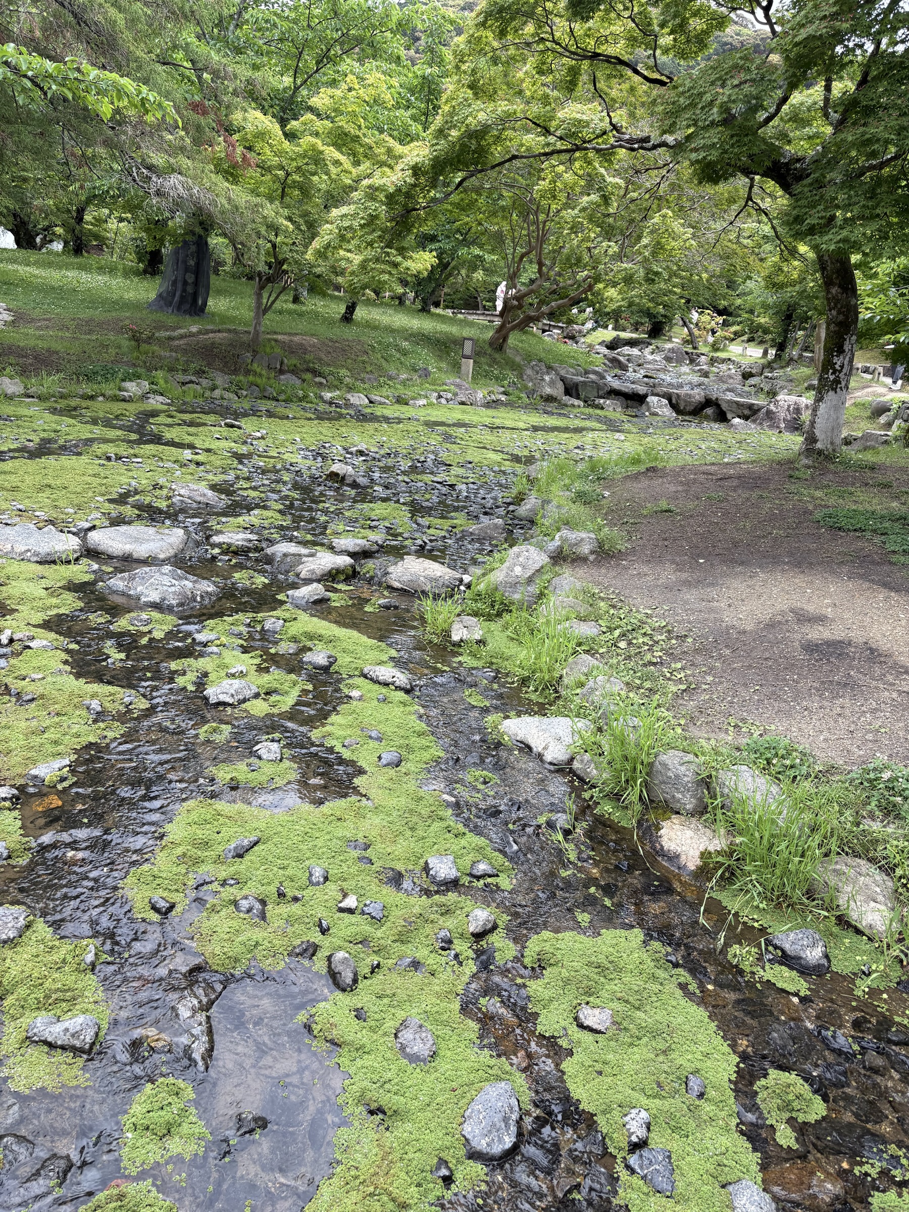 Gallery photo captured on May 25, 2025.