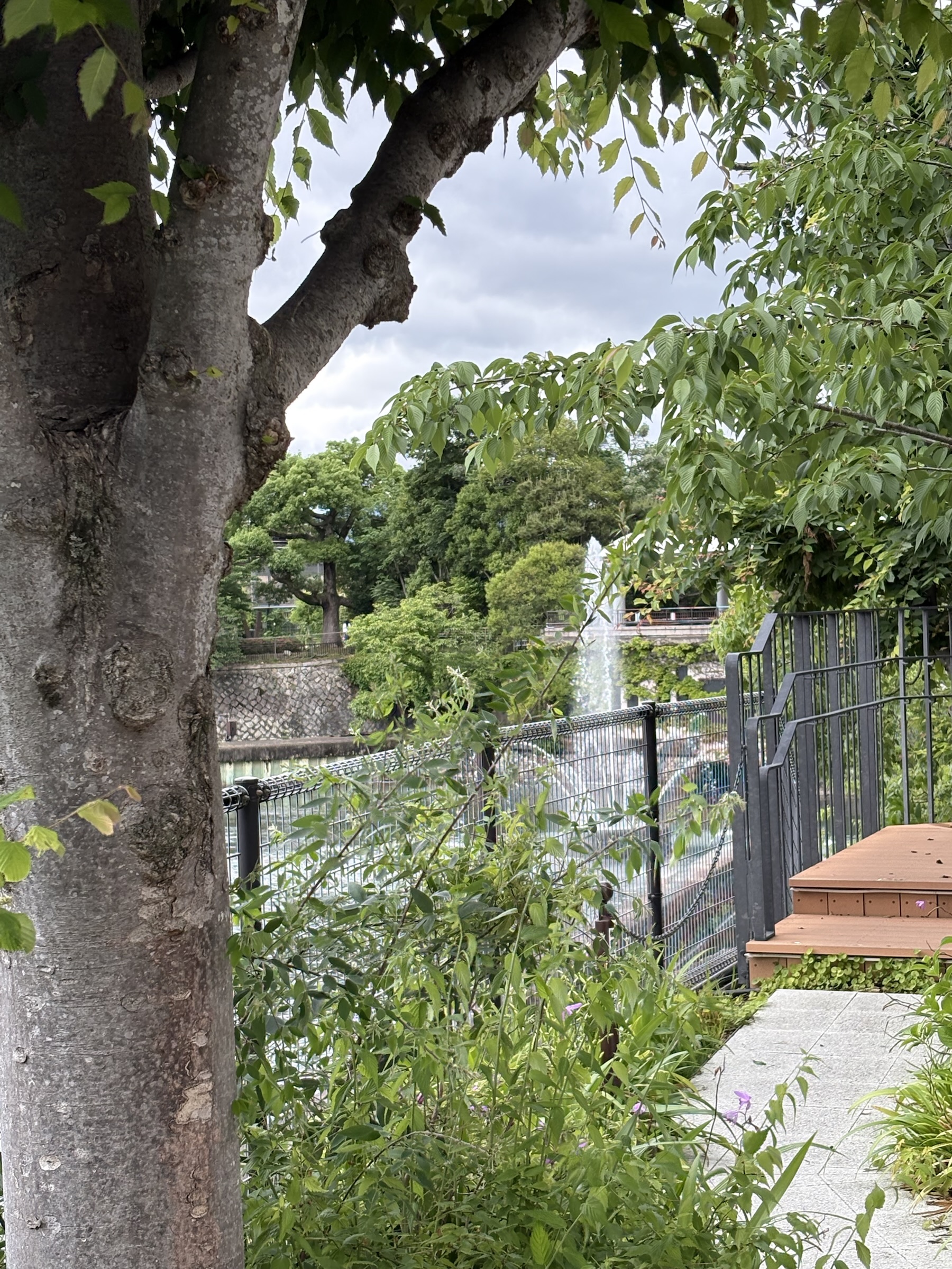 Gallery photo captured on May 25, 2025.