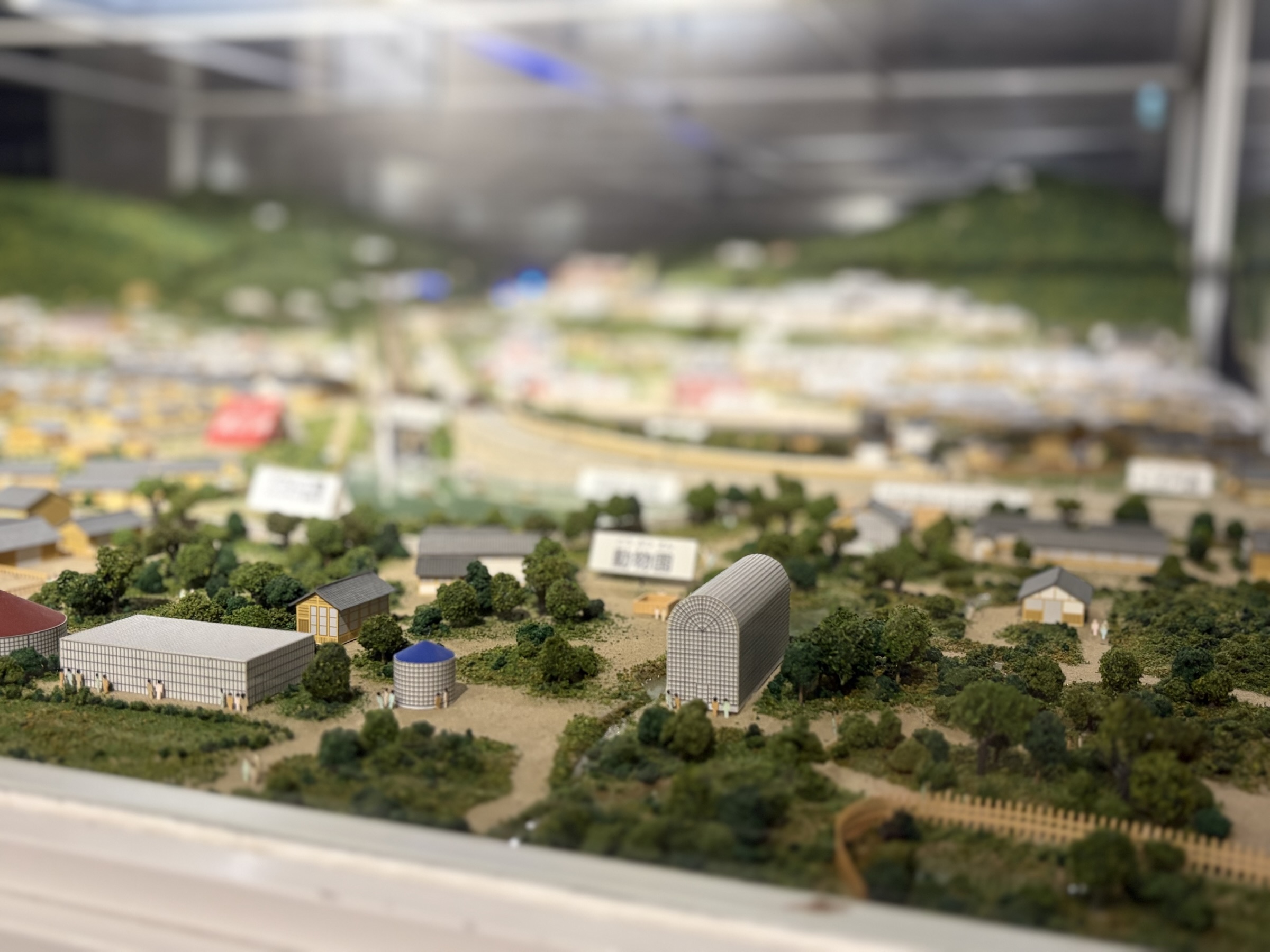 Gallery photo captured on May 25, 2025.