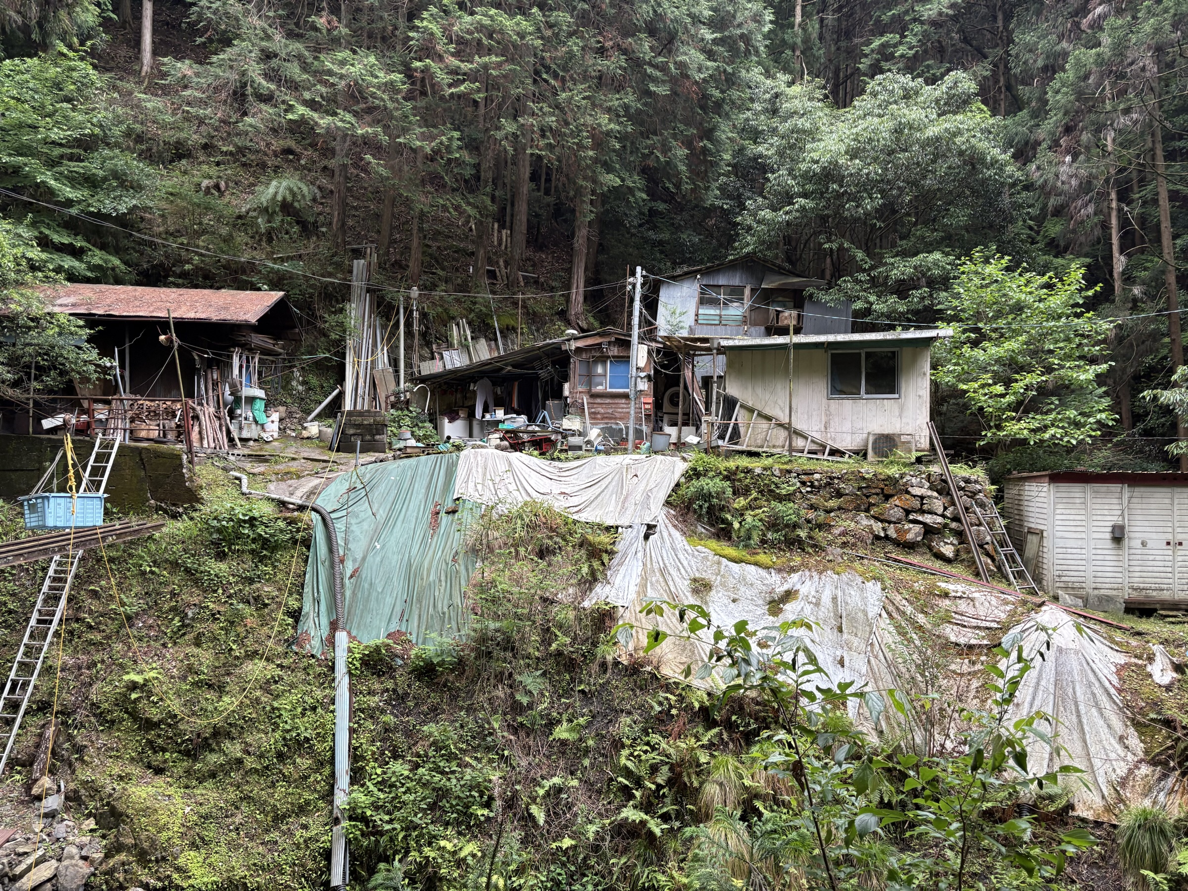 Gallery photo captured on May 25, 2025.