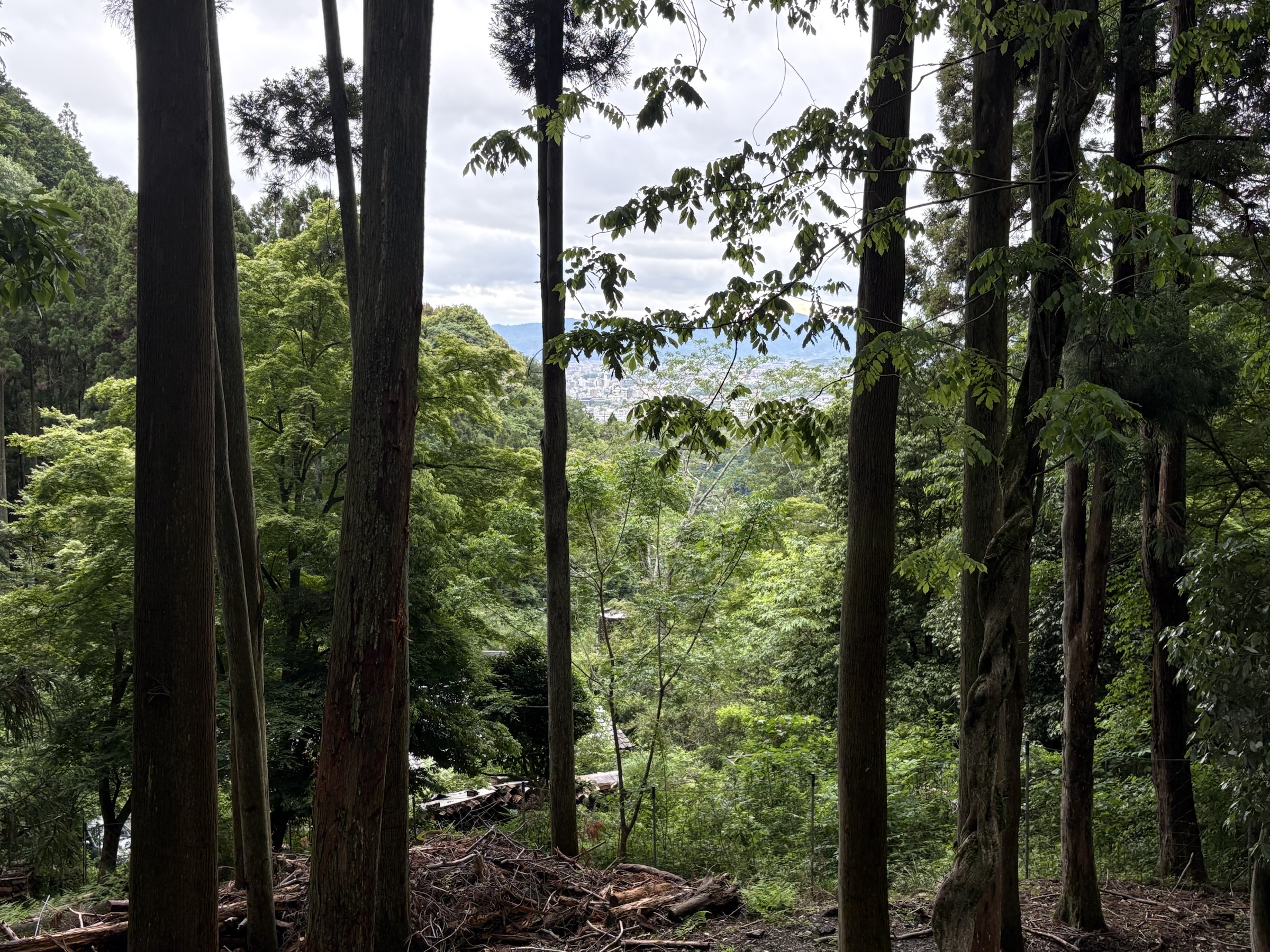 Gallery photo captured on May 25, 2025.