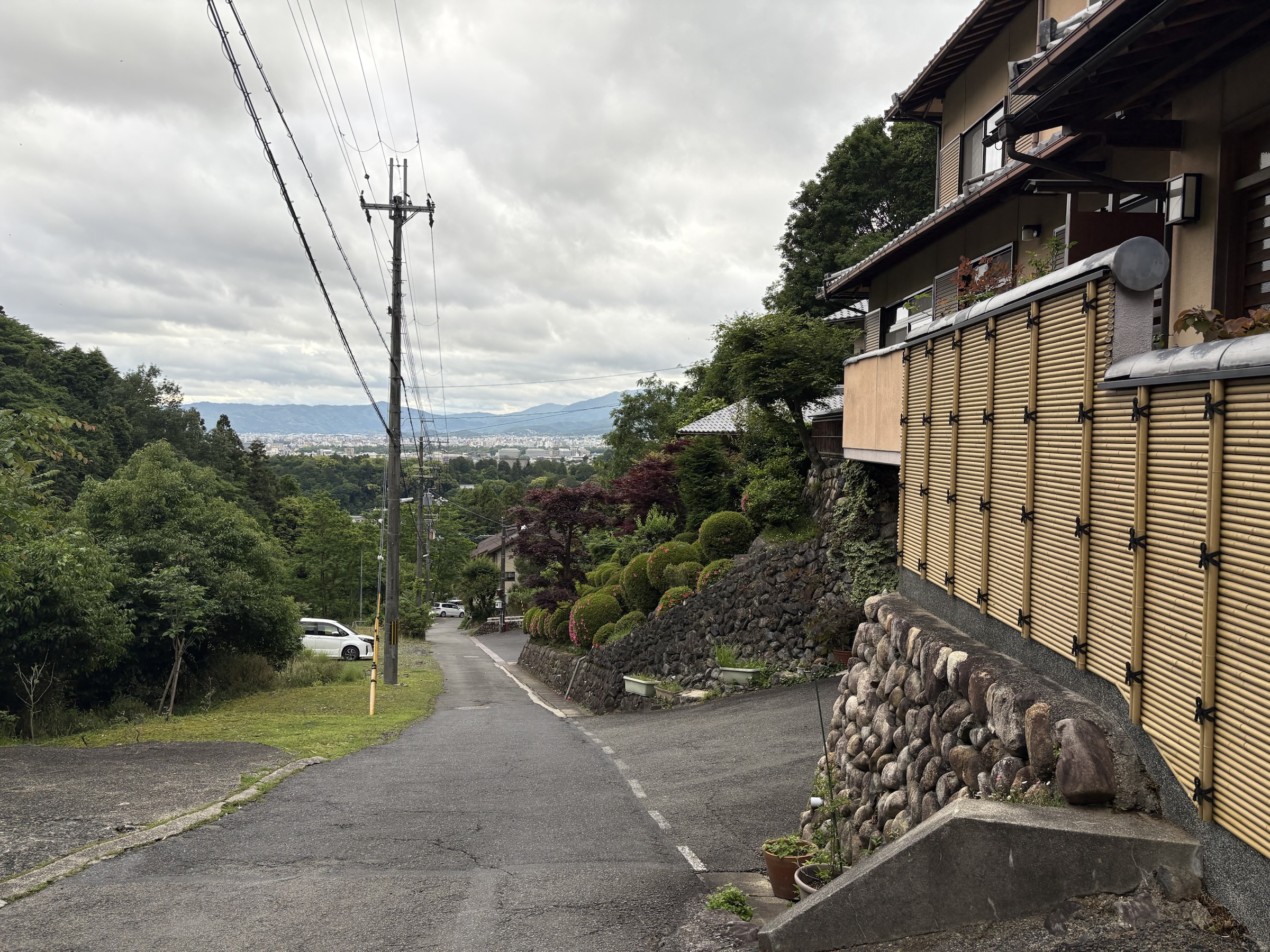 Gallery photo captured on May 25, 2025.