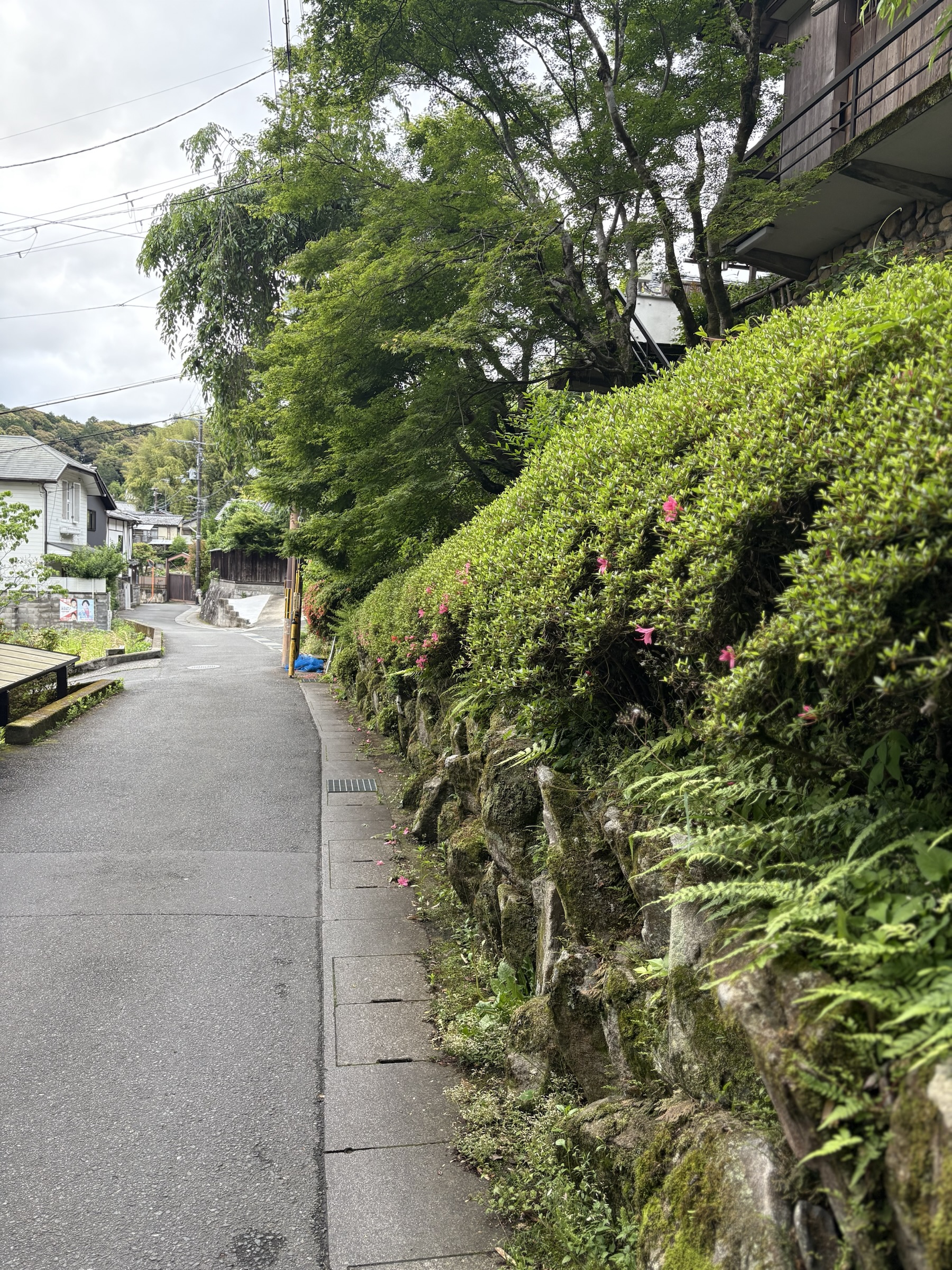 Gallery photo captured on May 25, 2025.