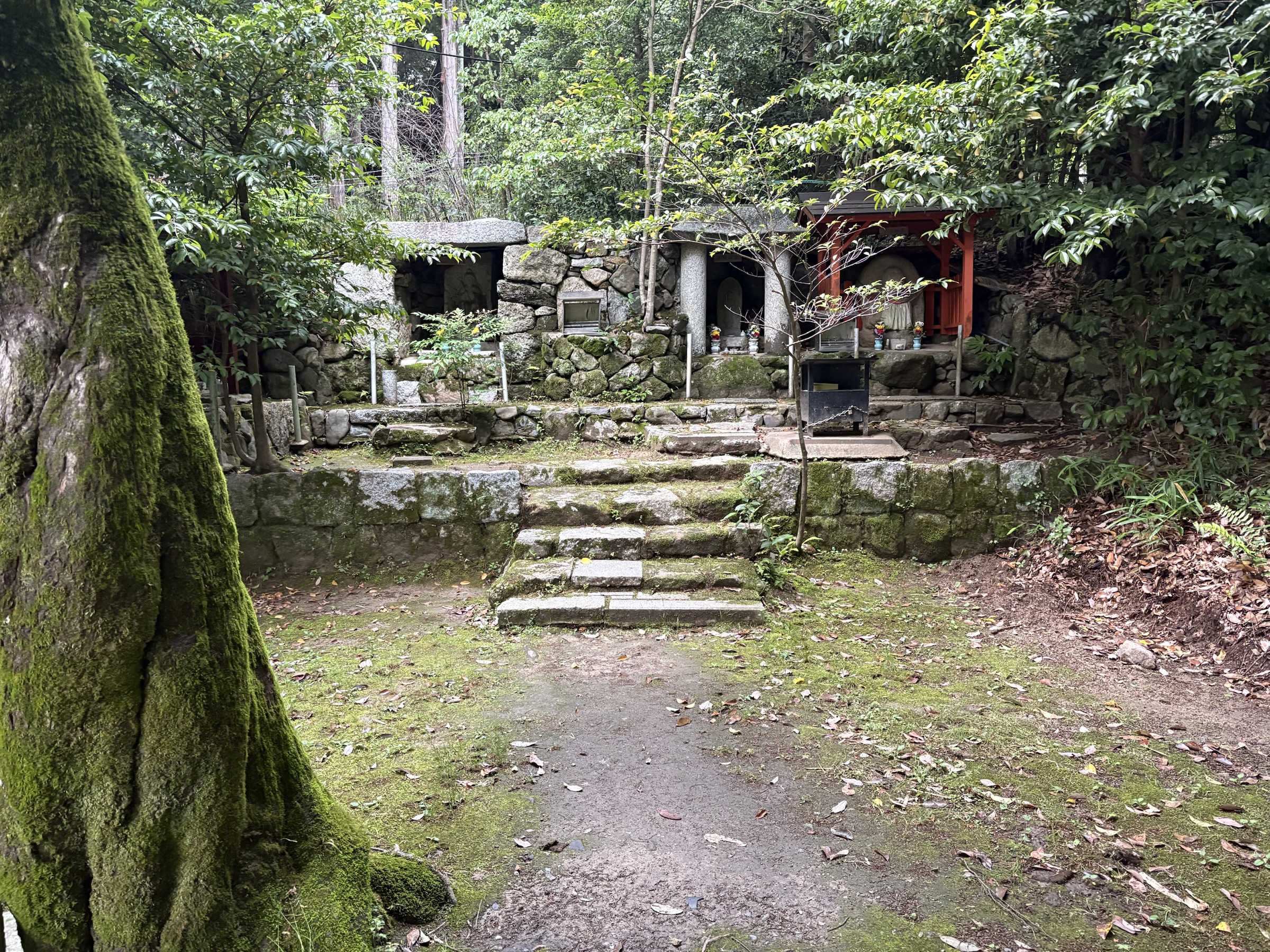 Gallery photo captured on May 25, 2025.