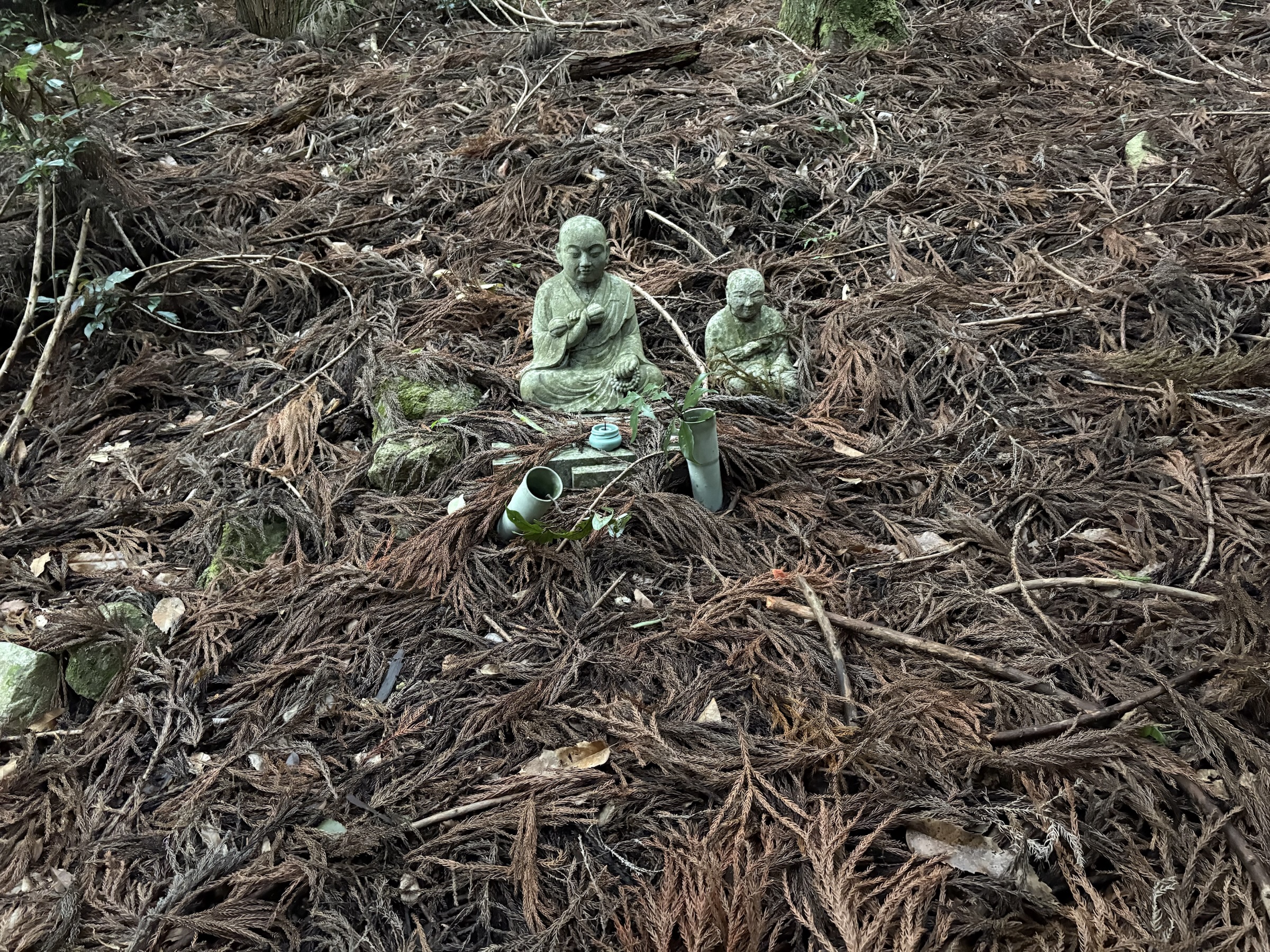 Gallery photo captured on May 25, 2025.