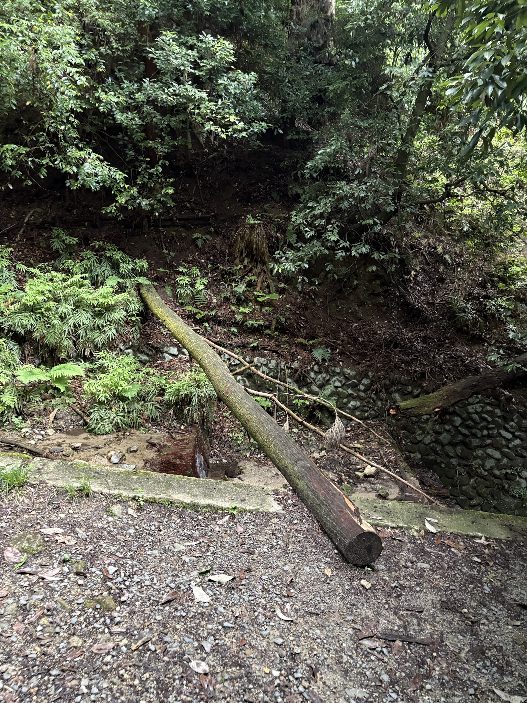 Gallery photo captured on May 25, 2025.