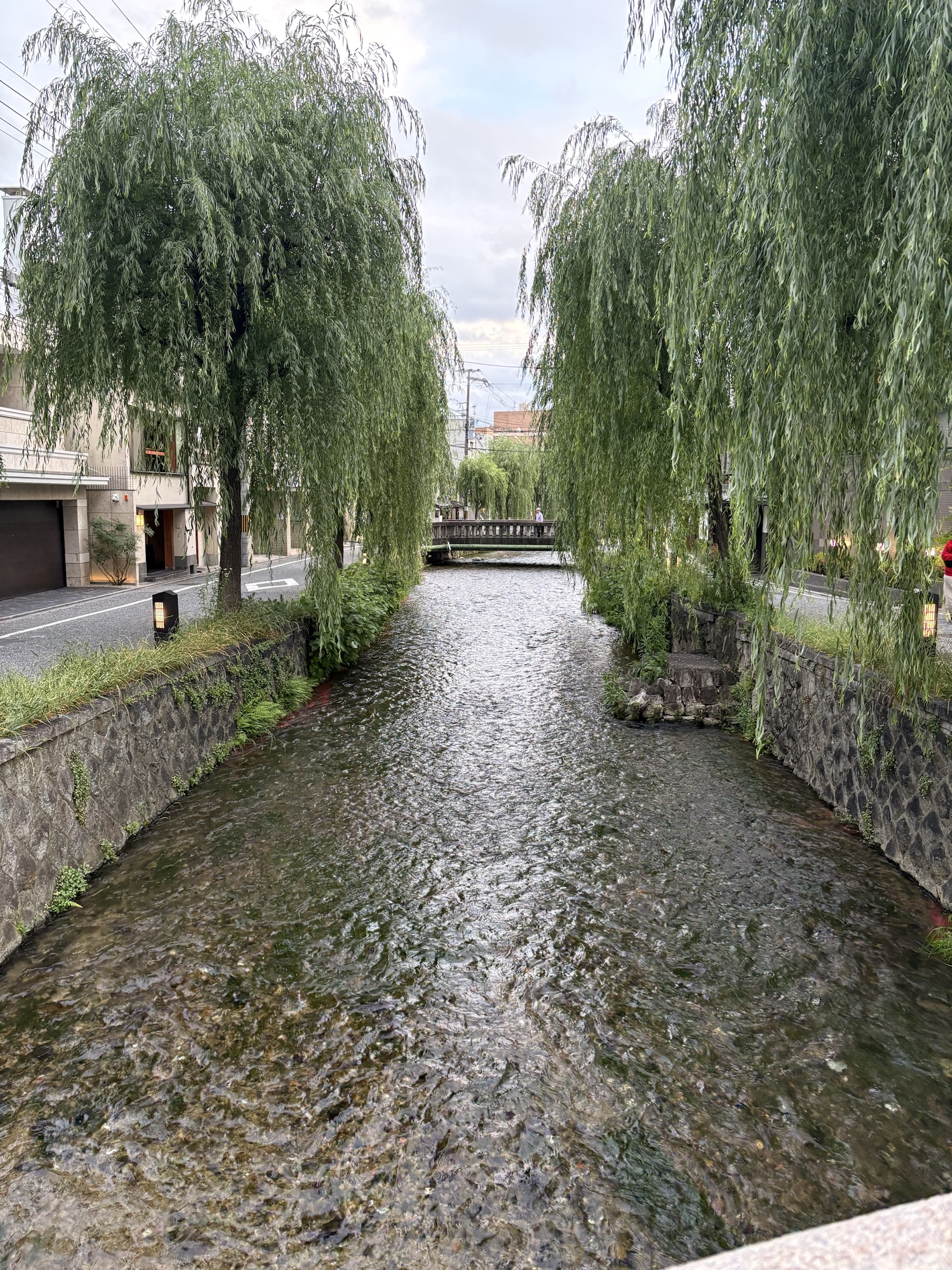 Gallery photo captured on May 25, 2025.