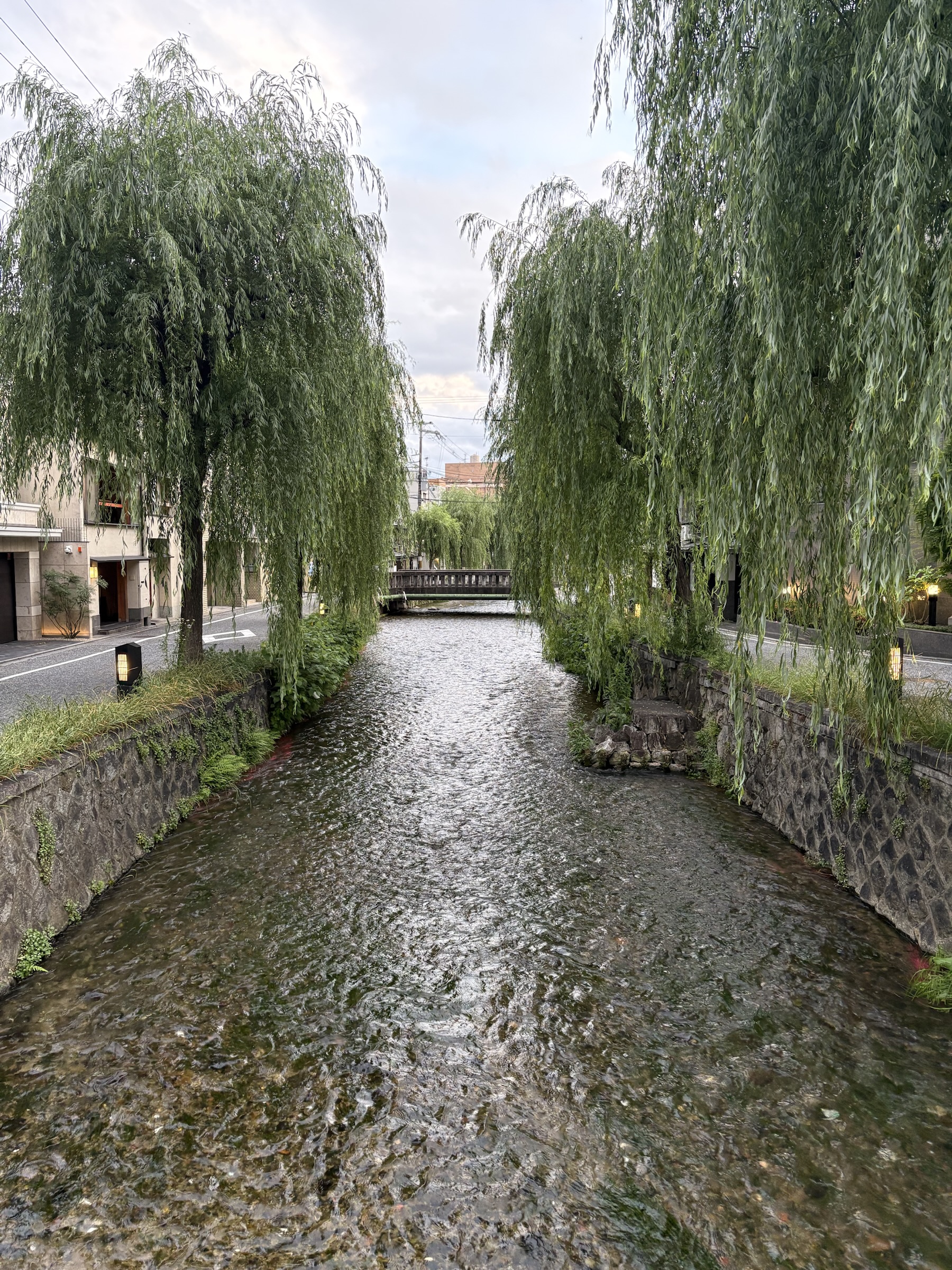 Gallery photo captured on May 25, 2025.