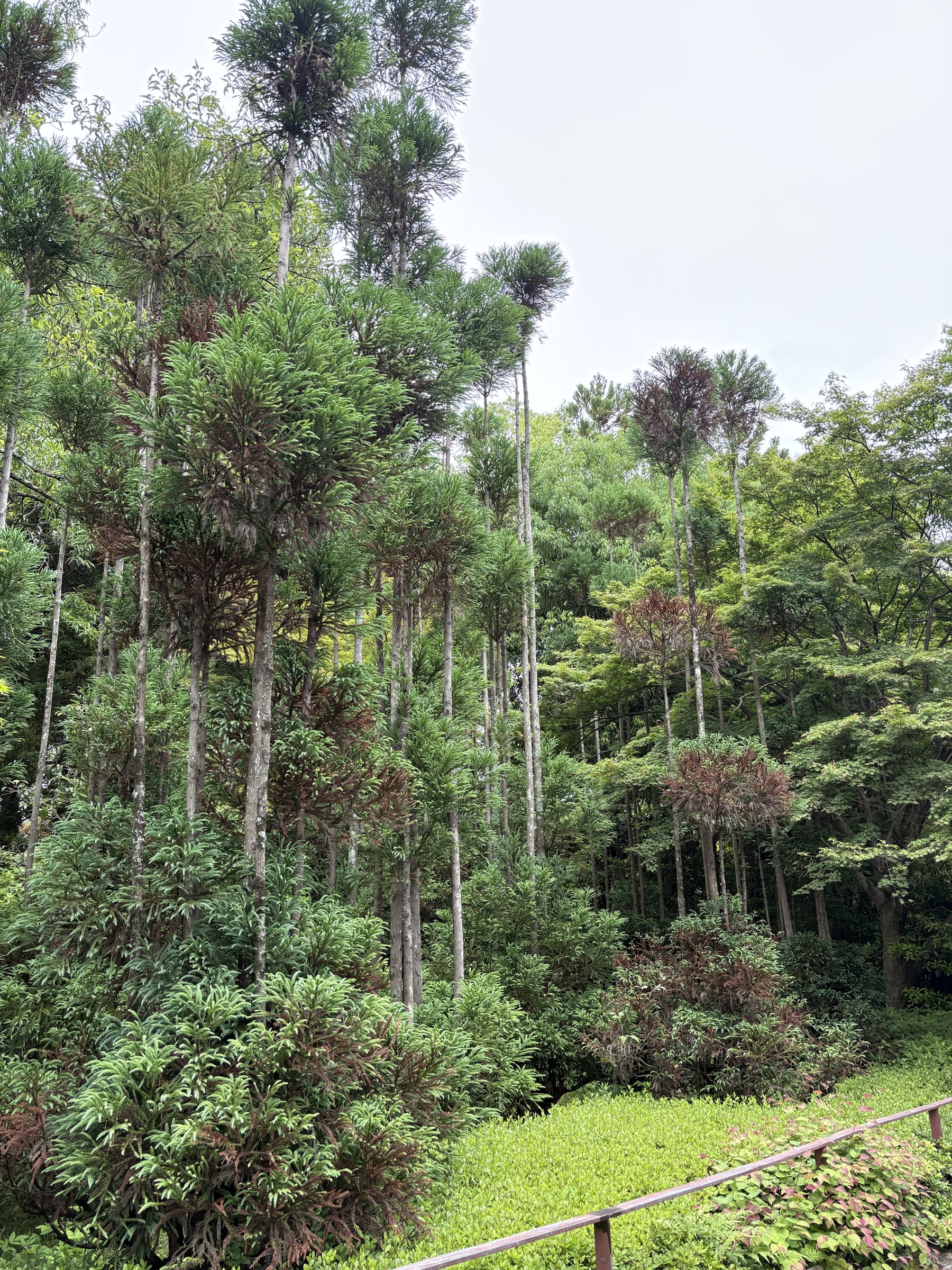 Gallery photo captured on May 26, 2025.