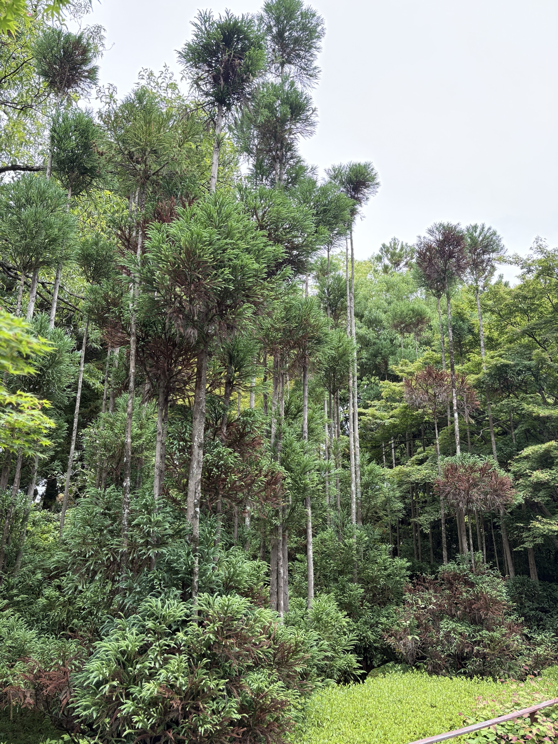 Gallery photo captured on May 26, 2025.