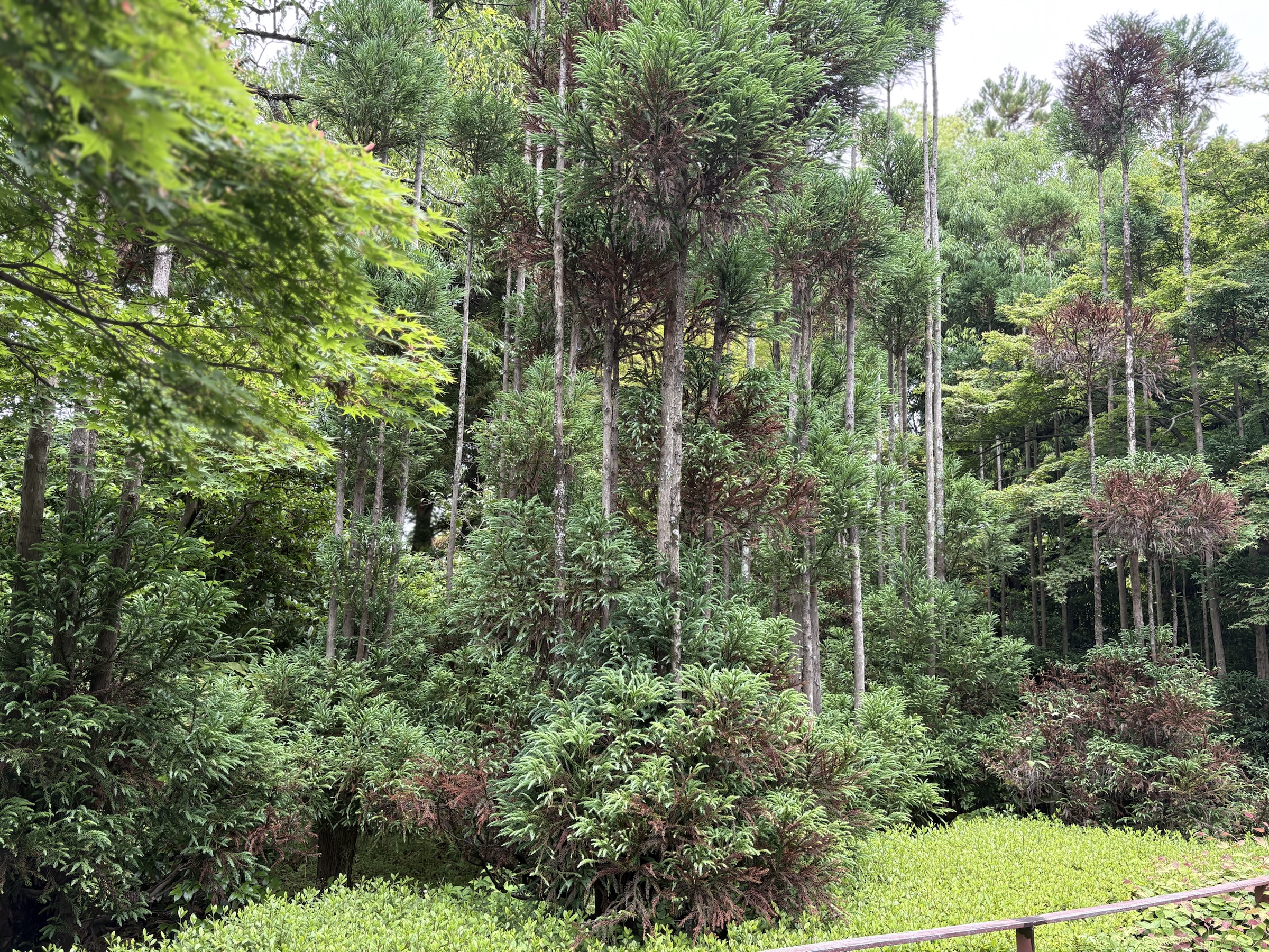 Gallery photo captured on May 26, 2025.