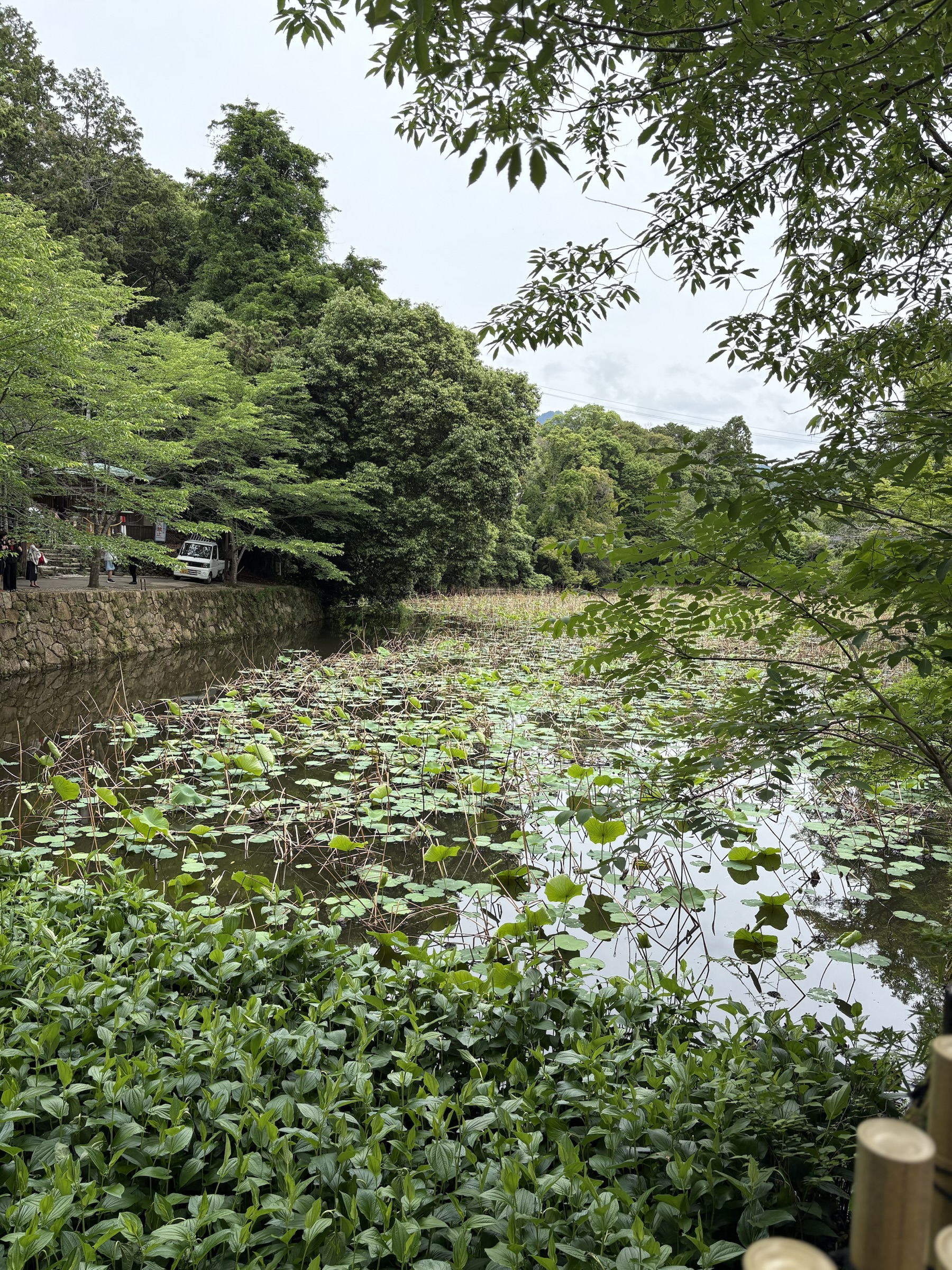 Gallery photo captured on May 26, 2025.