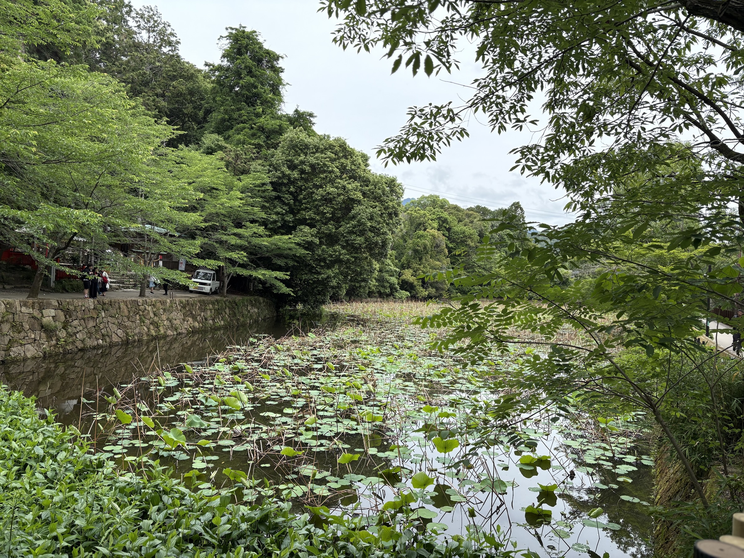 Gallery photo captured on May 26, 2025.