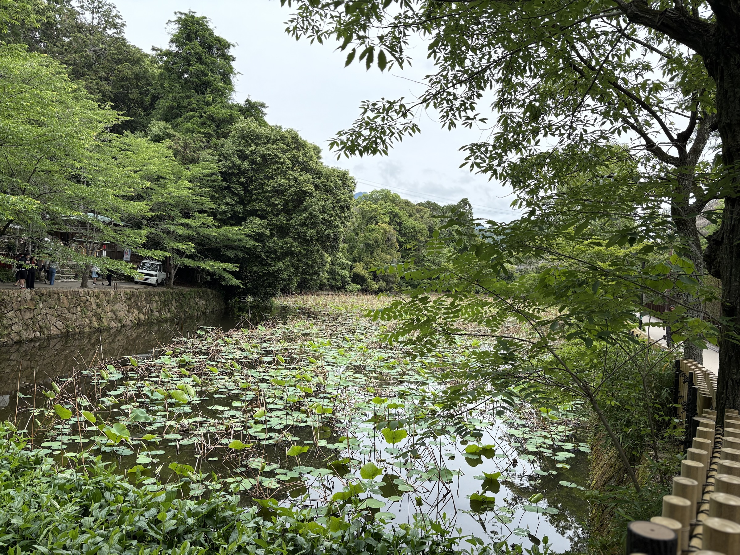 Gallery photo captured on May 26, 2025.