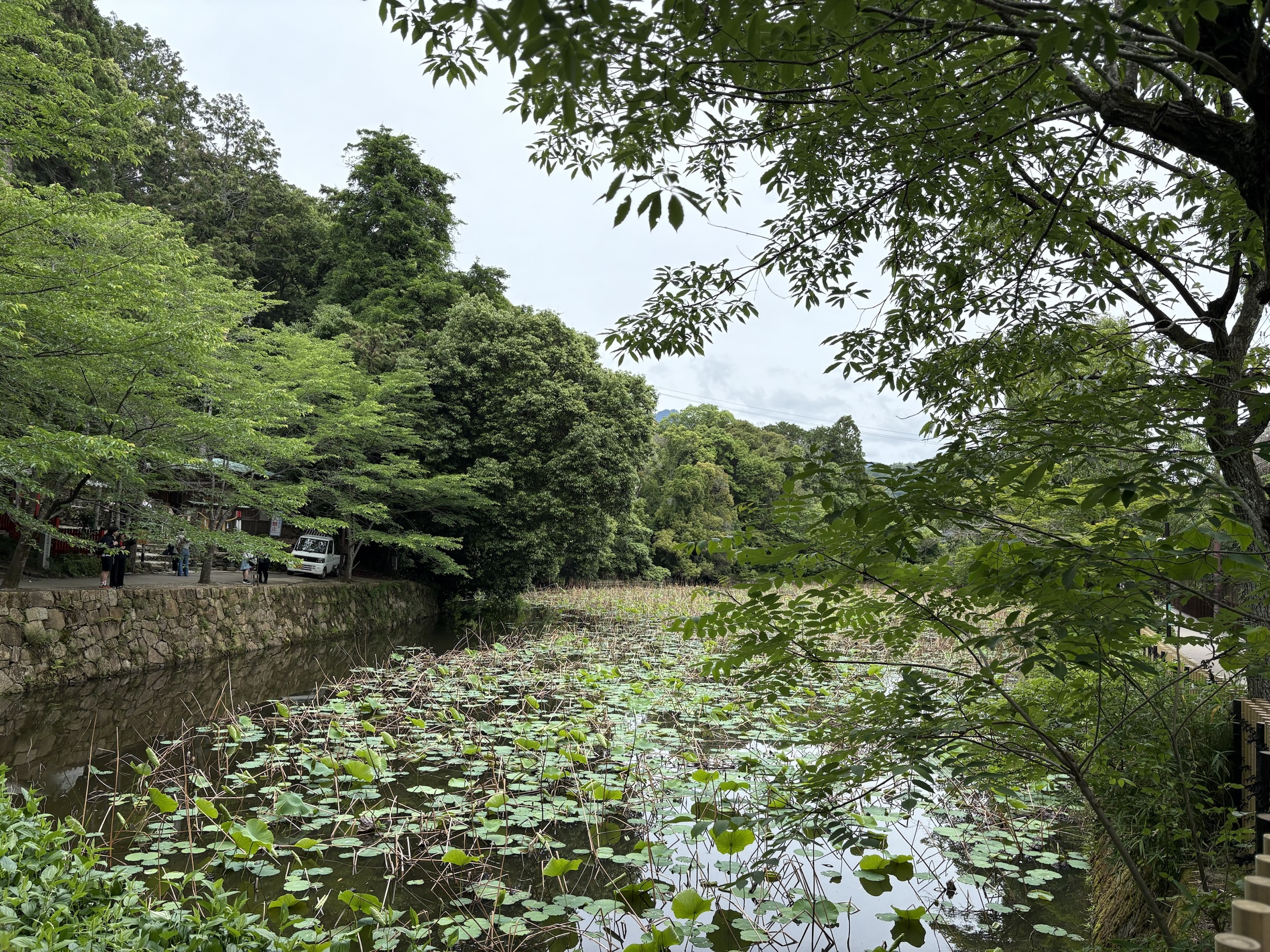 Gallery photo captured on May 26, 2025.