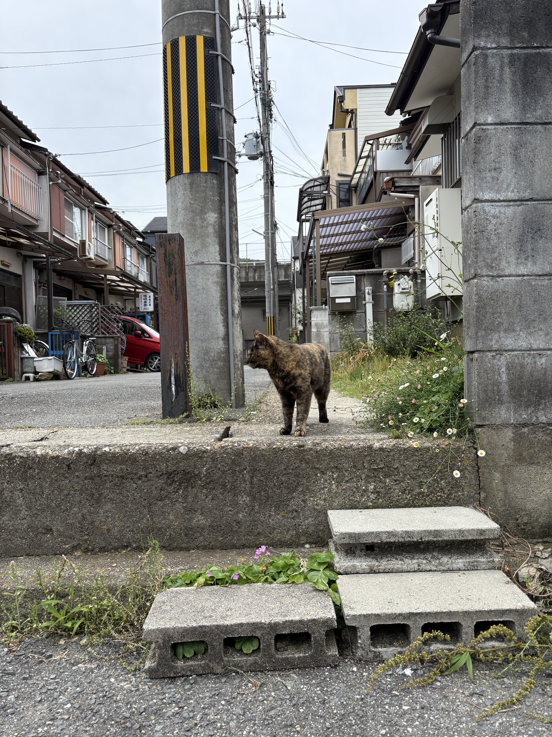 Gallery photo captured on May 26, 2025.