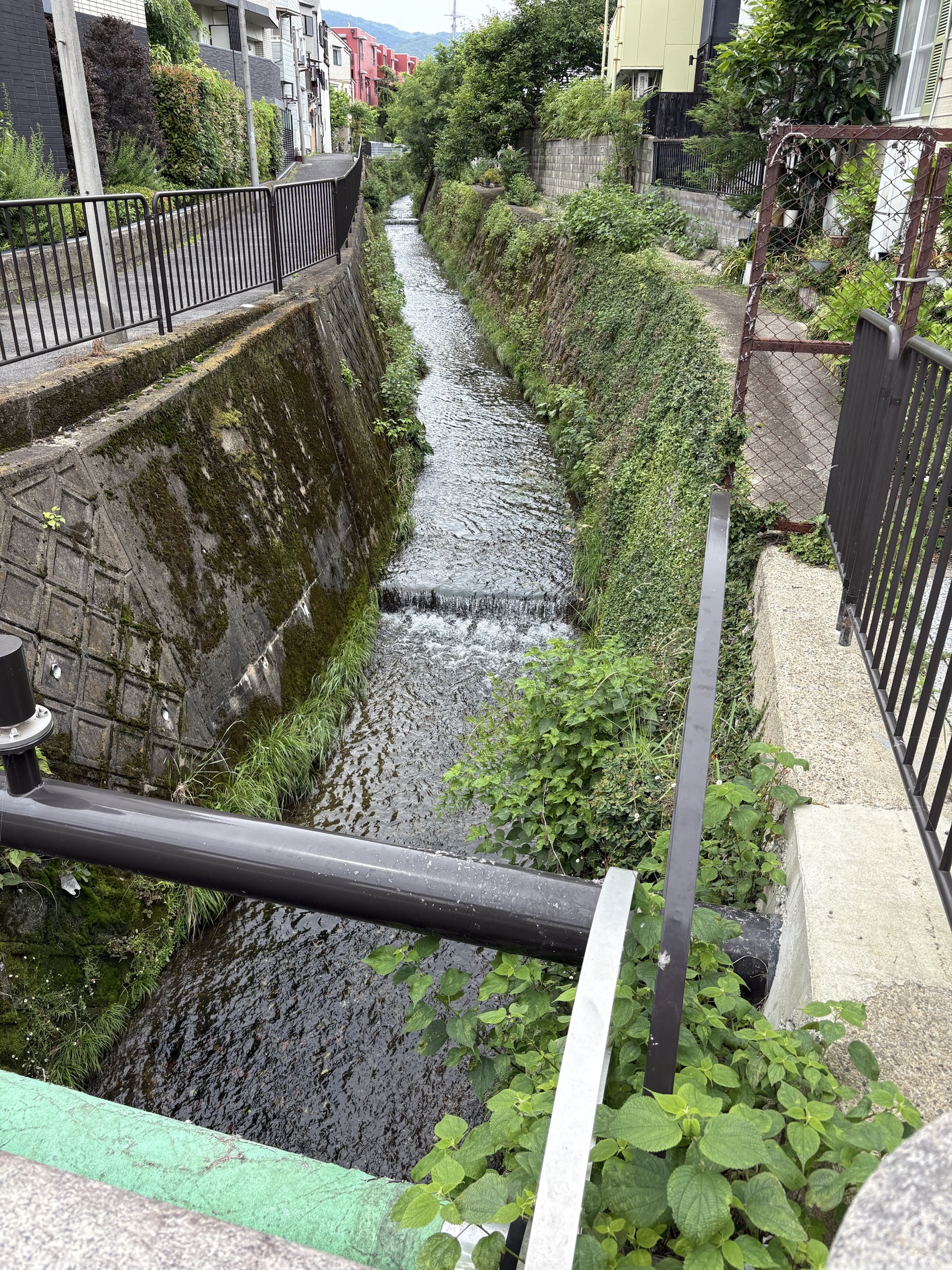 Gallery photo captured on May 26, 2025.