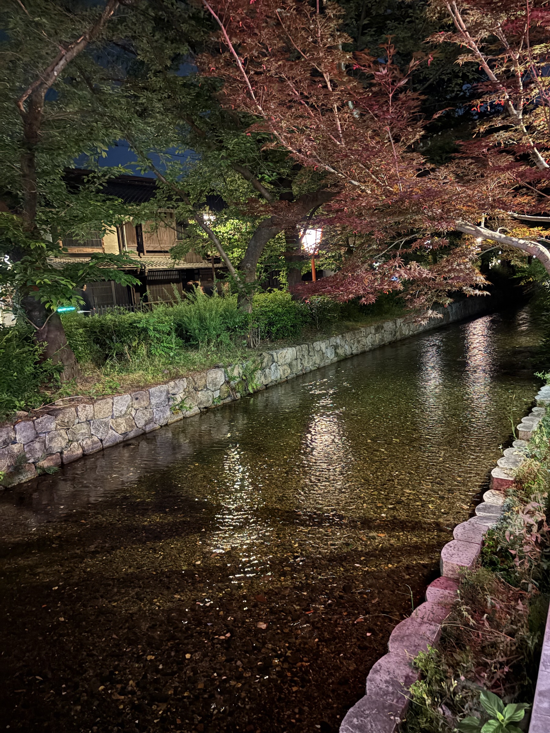 Gallery photo captured on May 26, 2025.