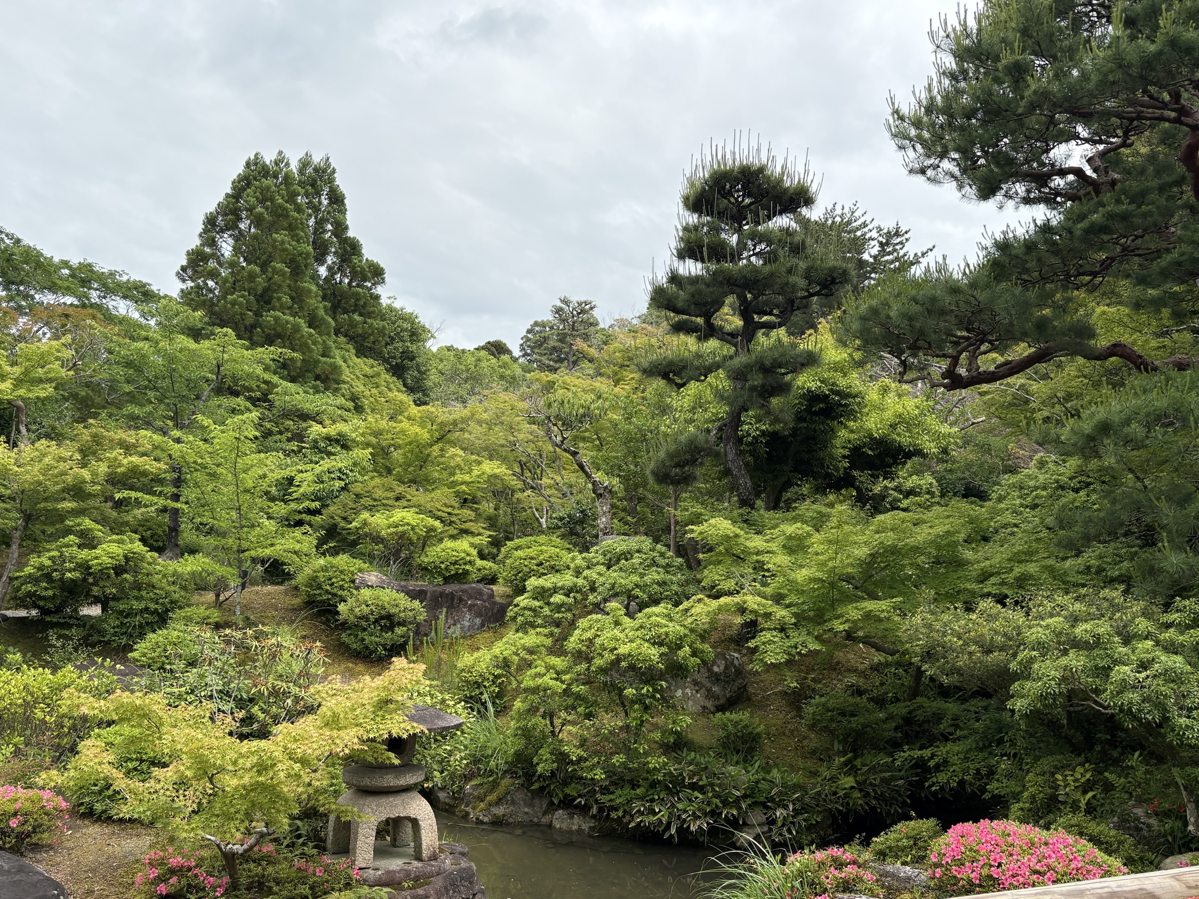 Gallery photo captured on May 27, 2025.