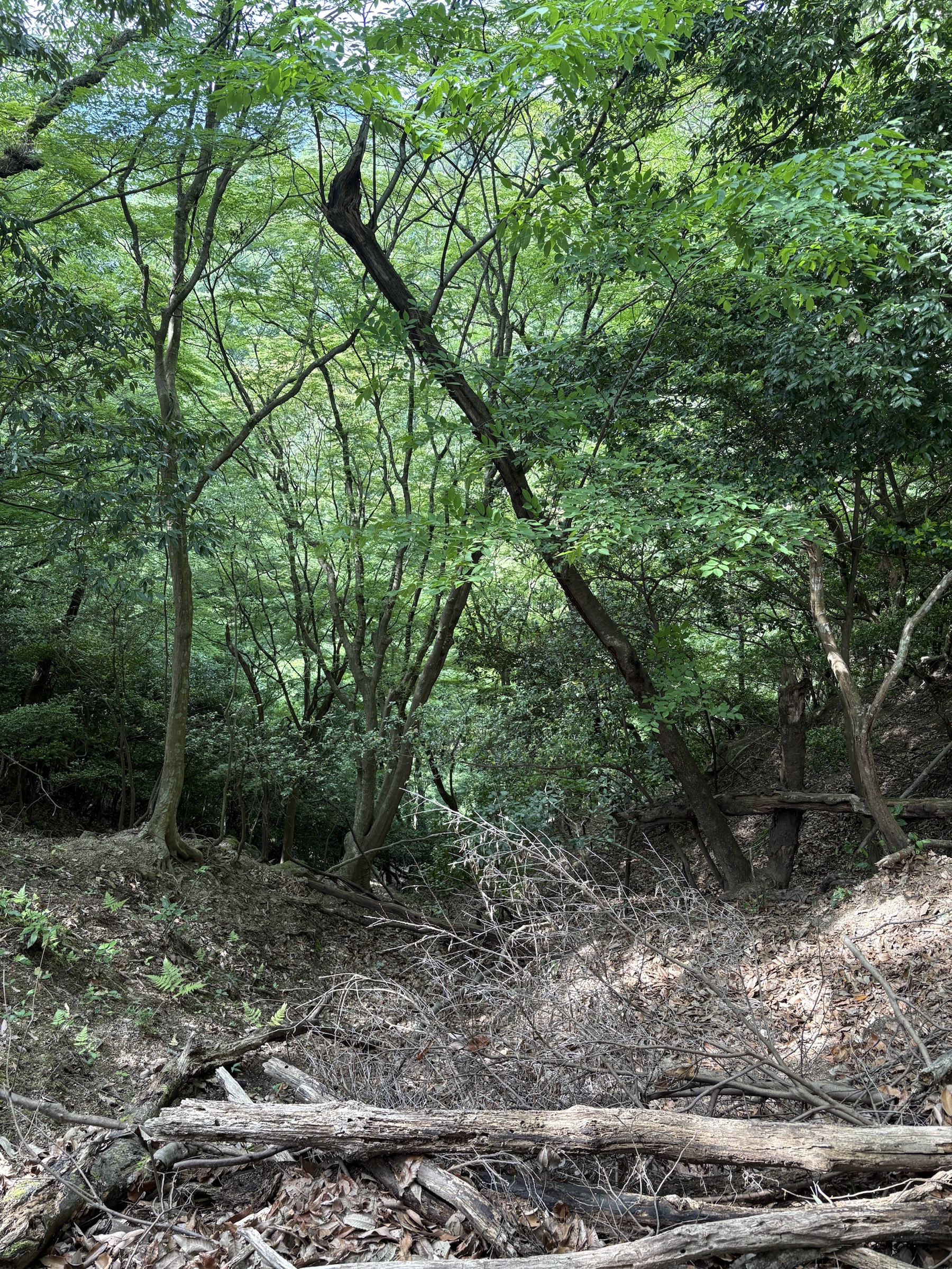 Gallery photo captured on May 28, 2025.