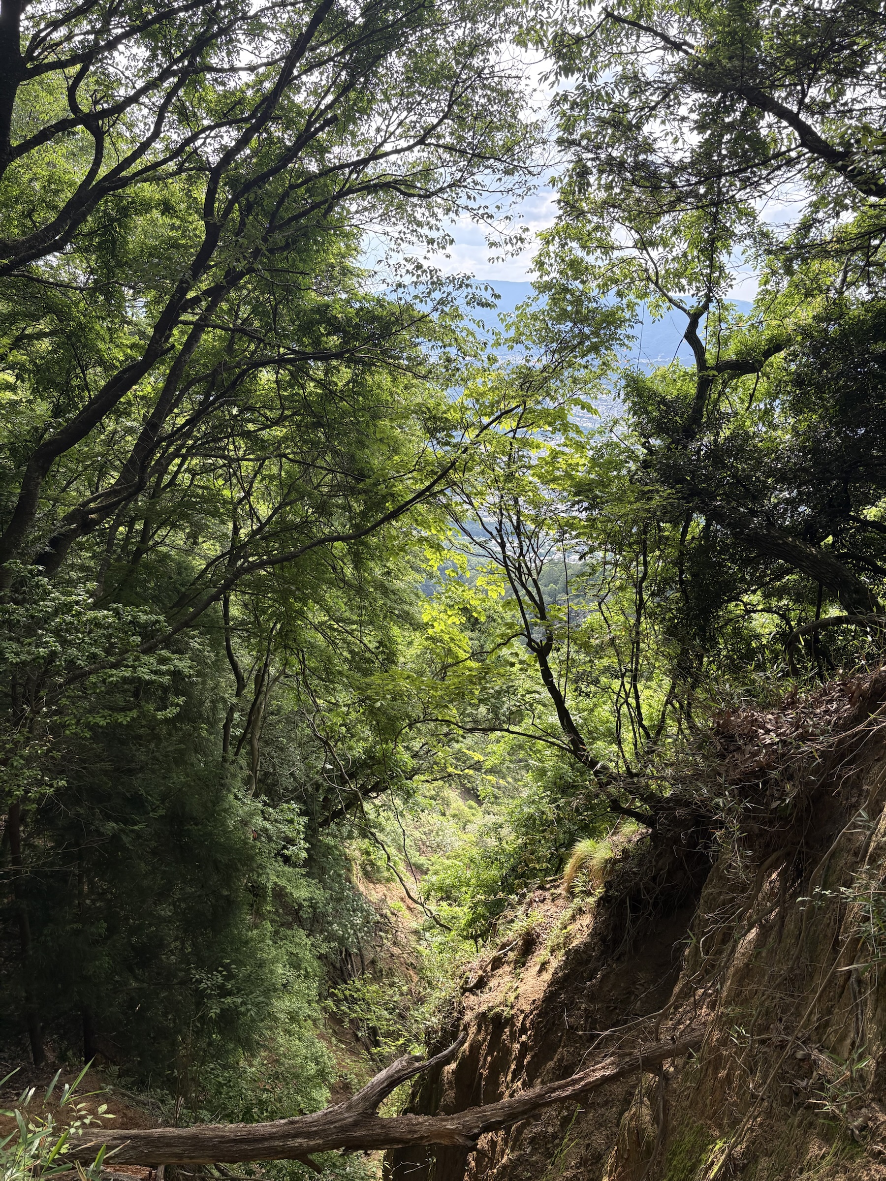 Gallery photo captured on May 28, 2025.