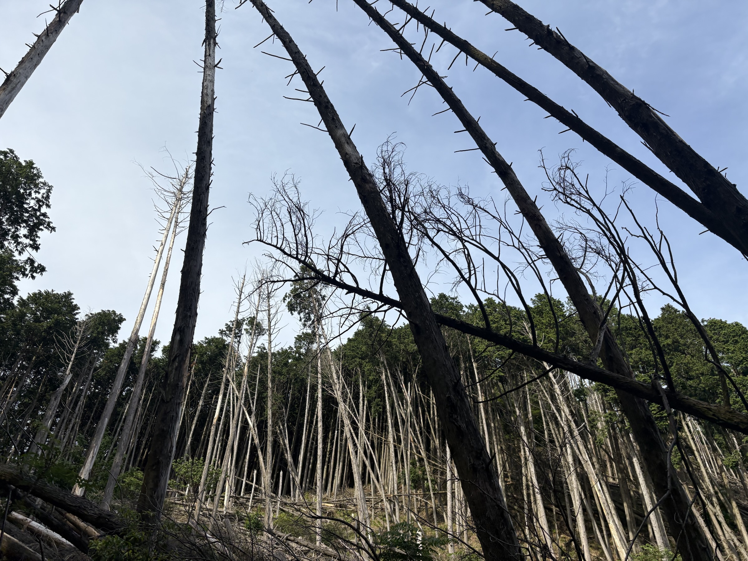 Gallery photo captured on May 28, 2025.