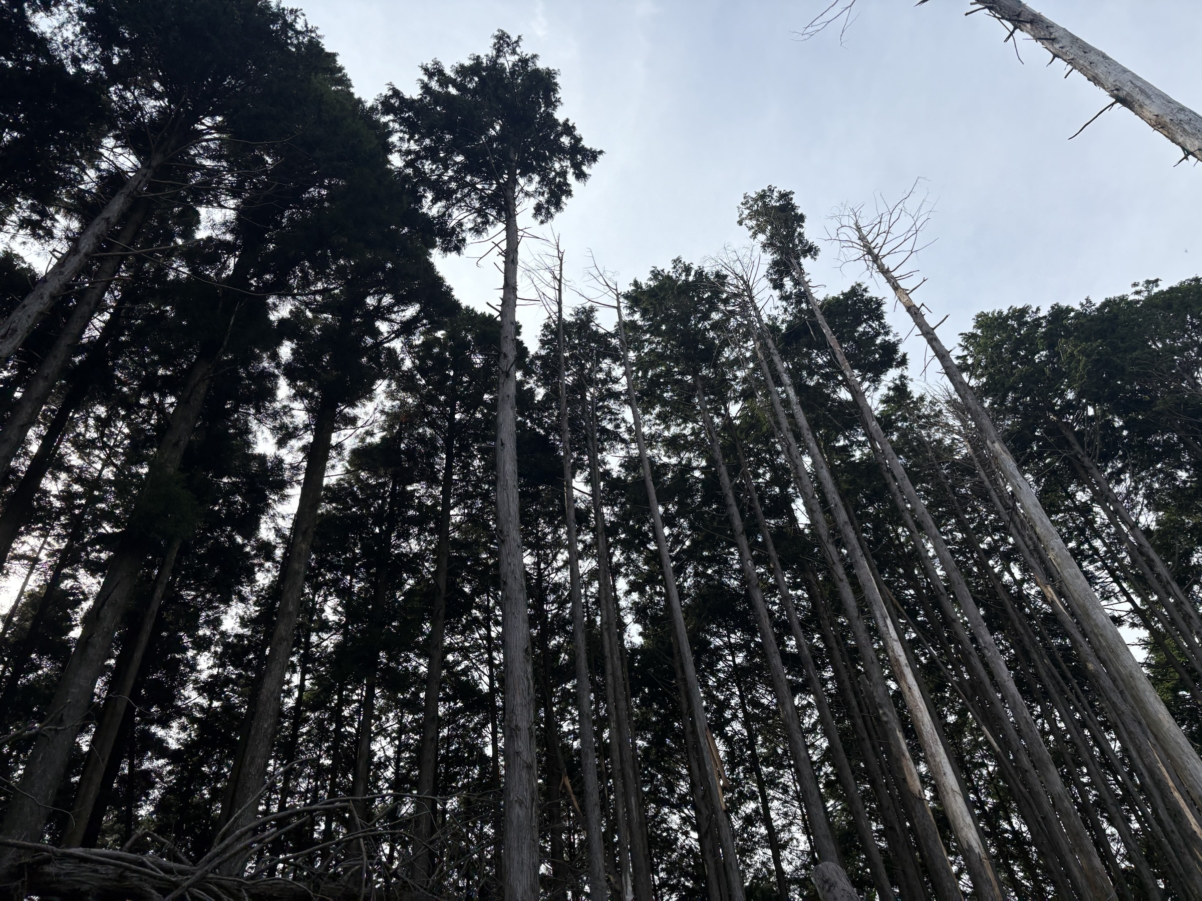 Gallery photo captured on May 28, 2025.