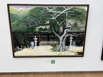 Gallery photo captured on May 30, 2025.