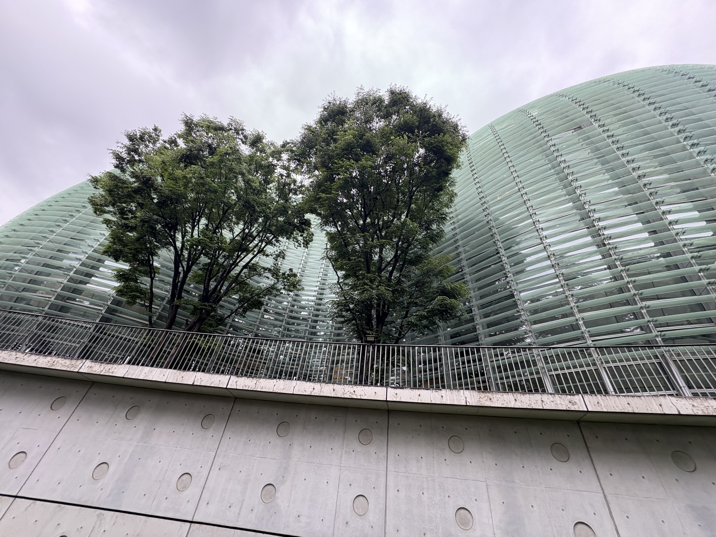 Gallery photo captured on May 30, 2025.