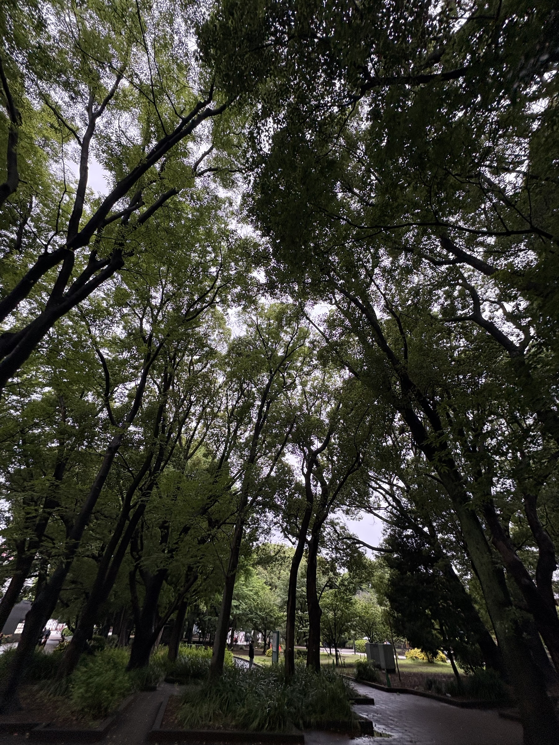 Gallery photo captured on May 31, 2025.