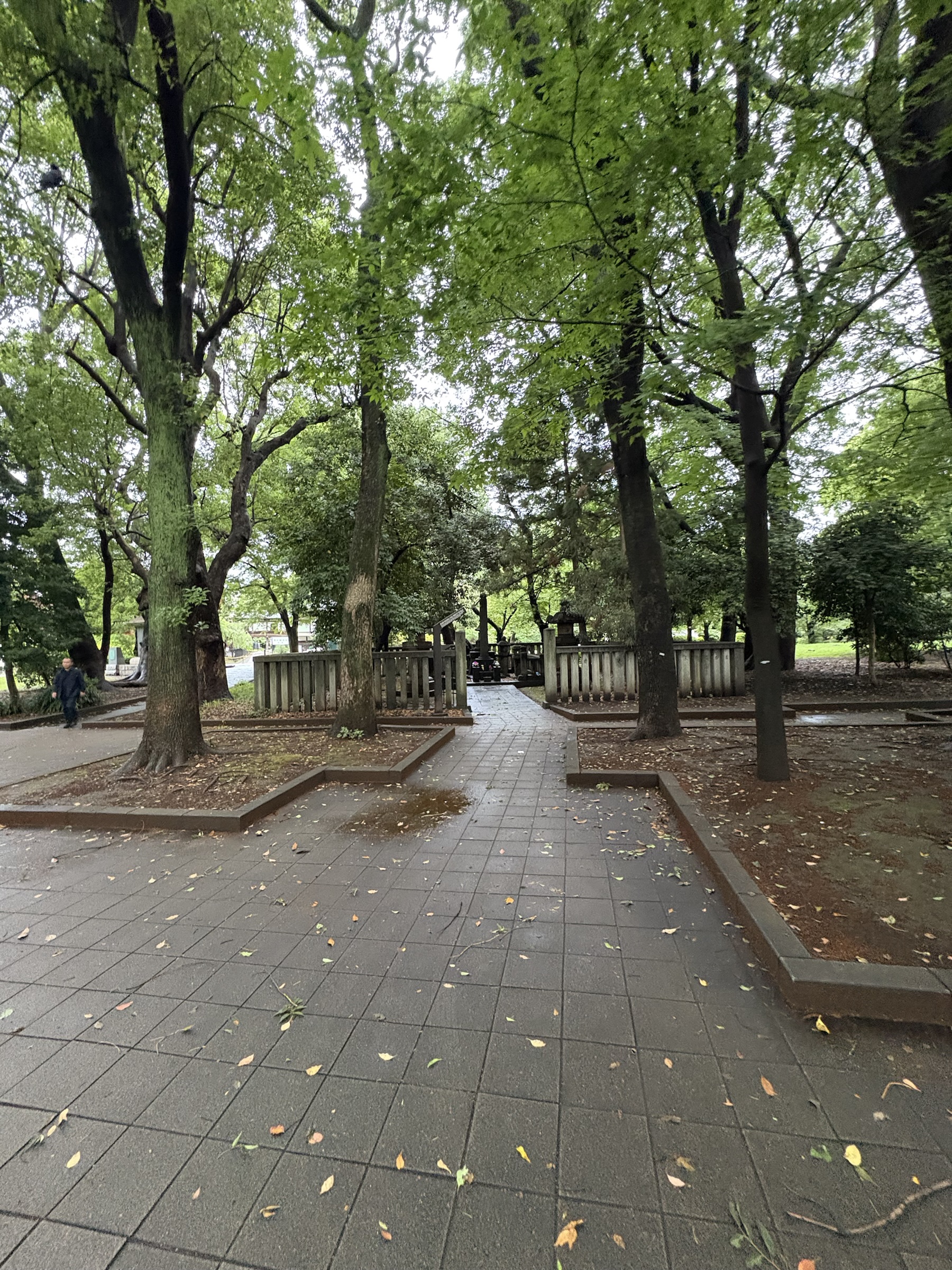 Gallery photo captured on May 31, 2025.