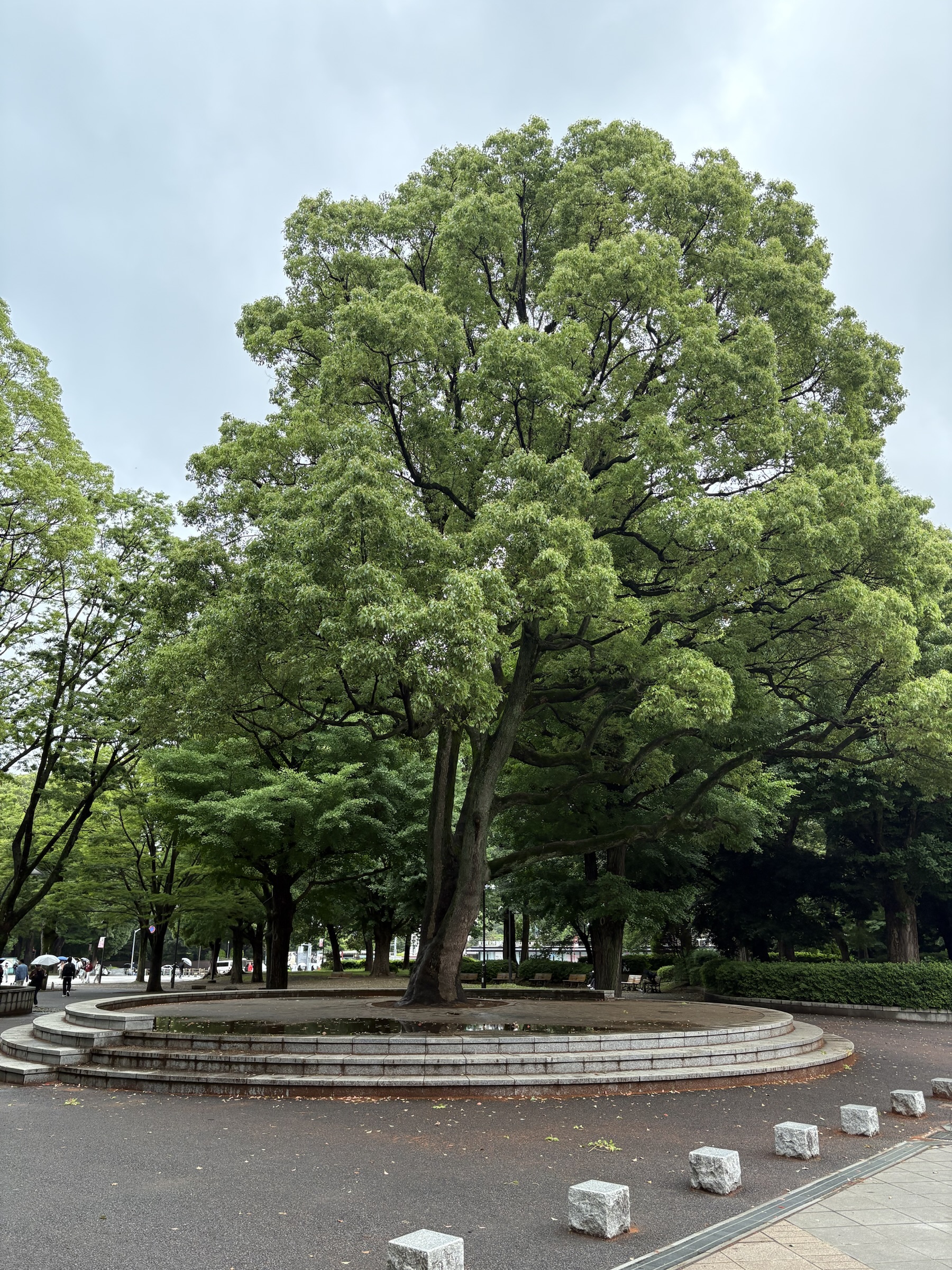 Gallery photo captured on May 31, 2025.