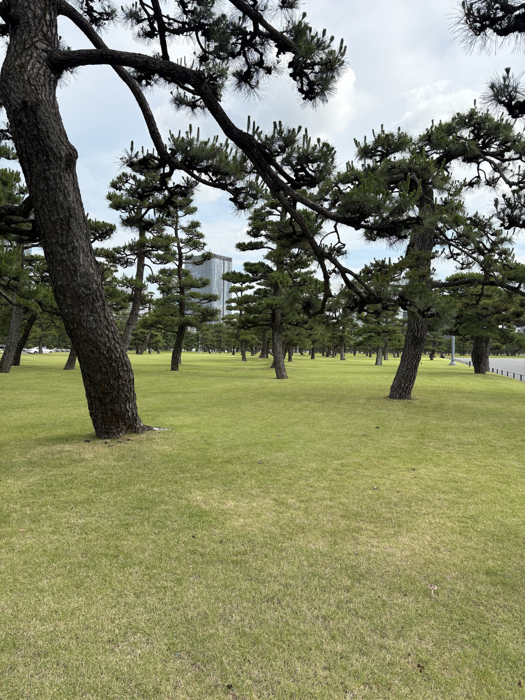 Gallery photo captured on June 2, 2025.