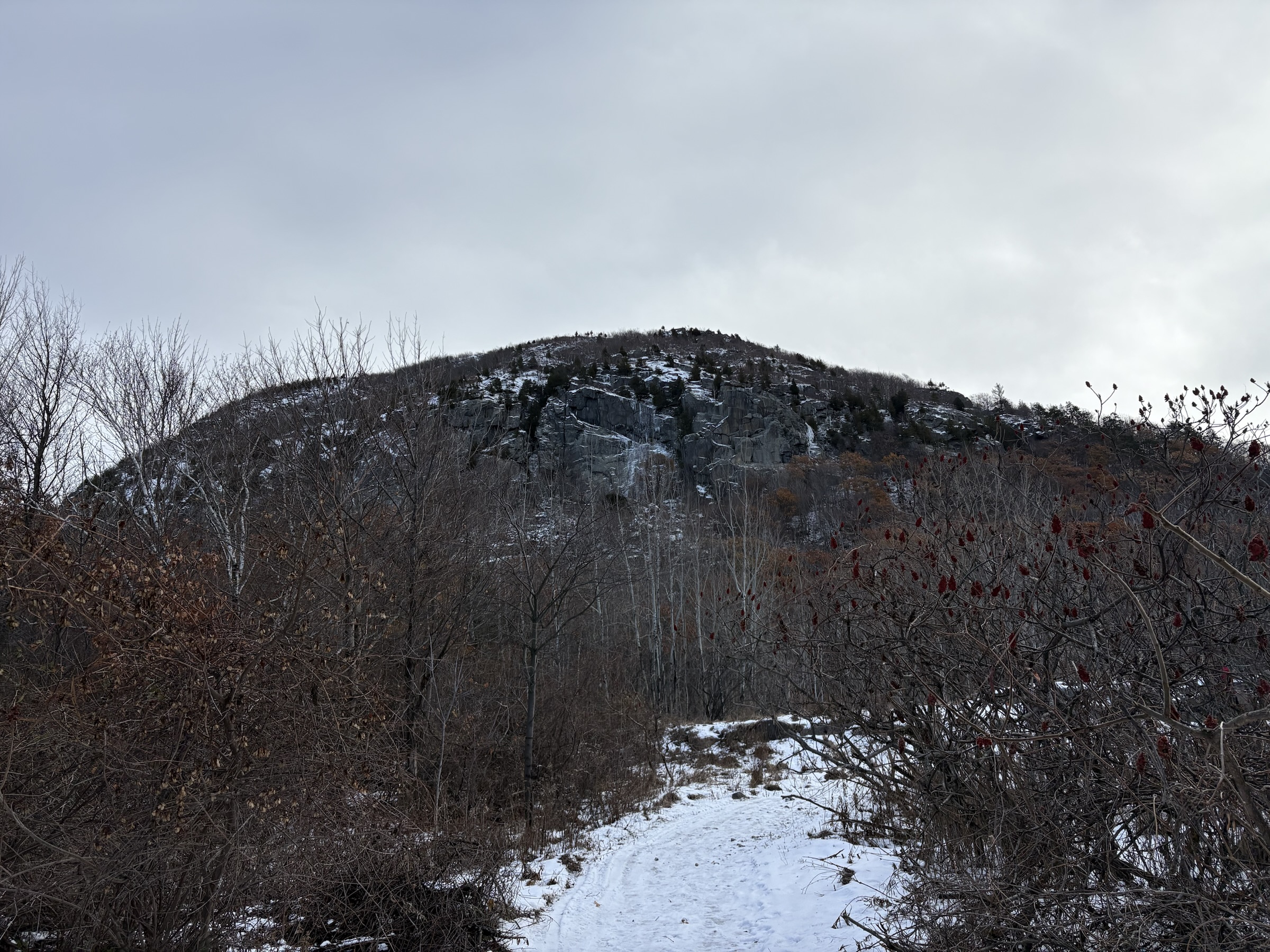 Gallery photo captured on December 1, 2025.