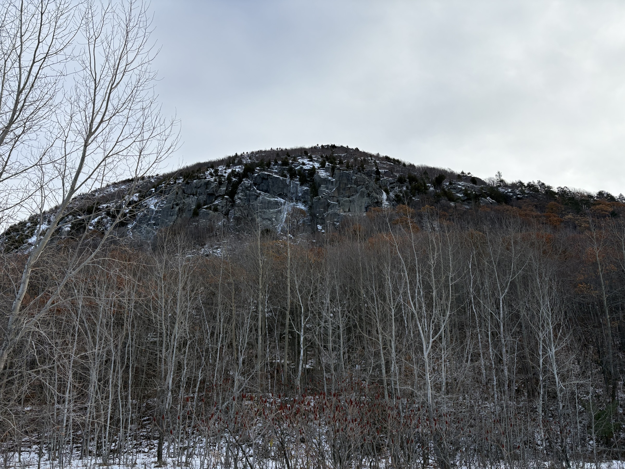 Gallery photo captured on December 1, 2025.