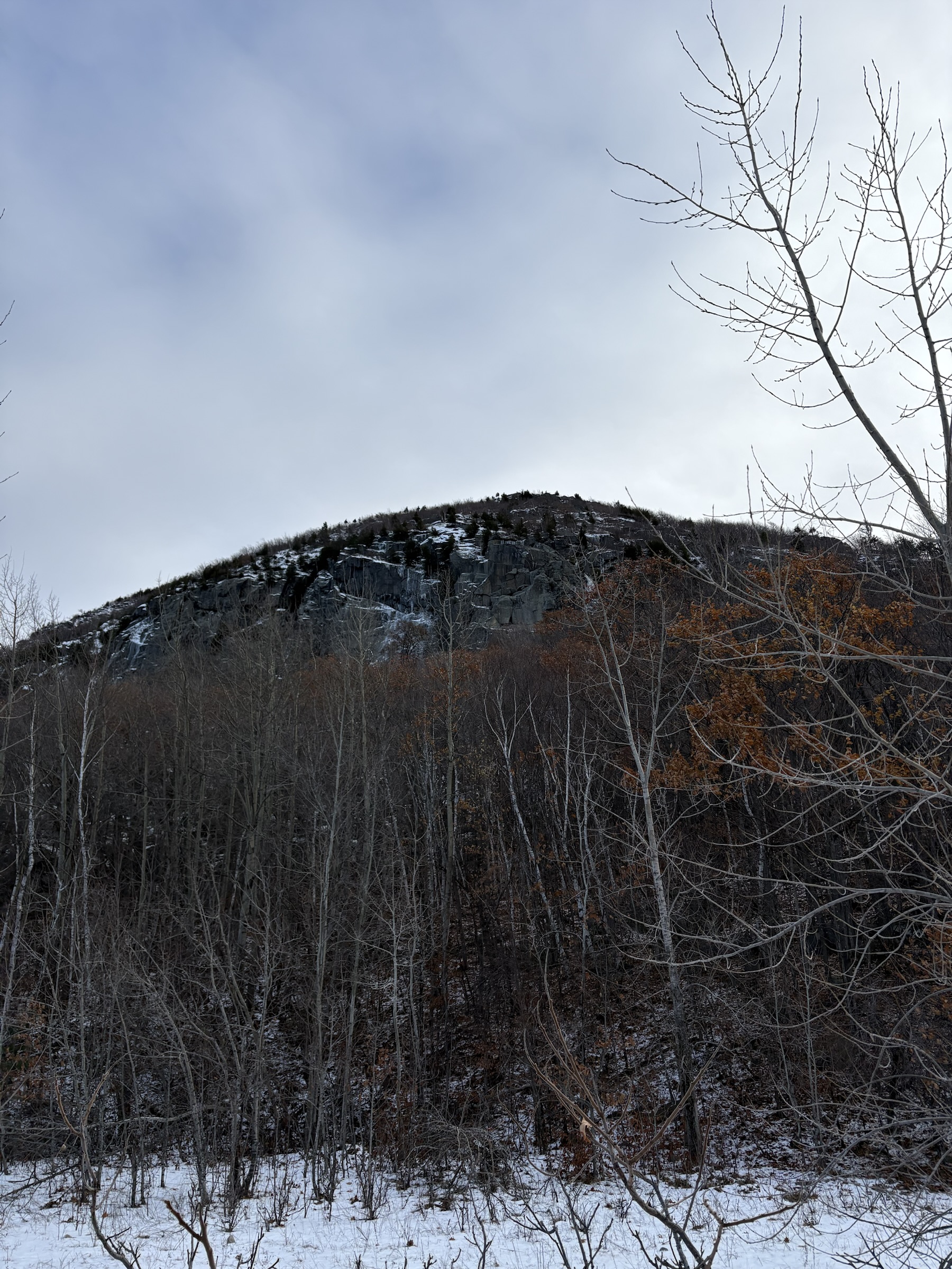 Gallery photo captured on December 1, 2025.