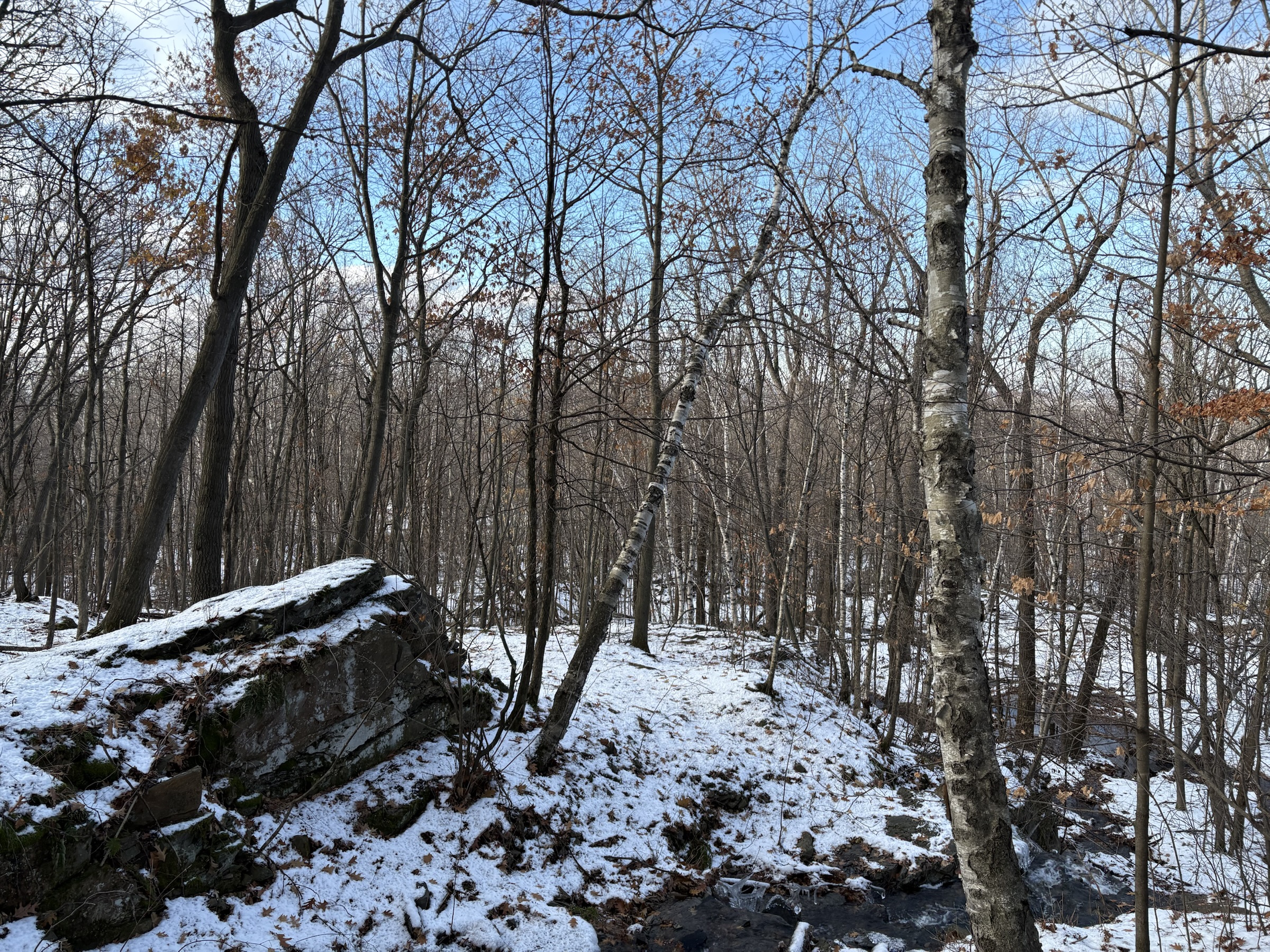 Gallery photo captured on December 1, 2025.