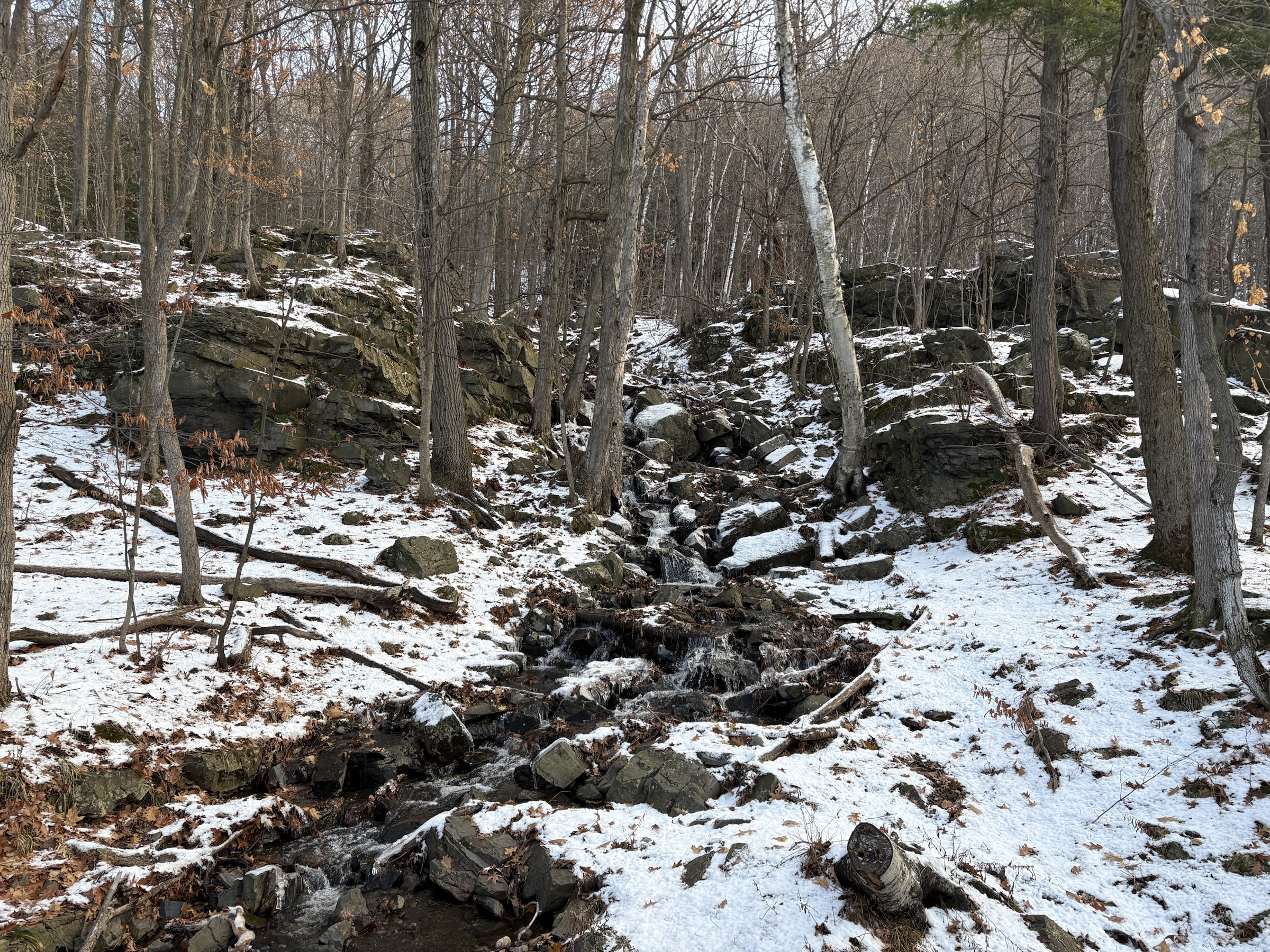 Gallery photo captured on December 1, 2025.