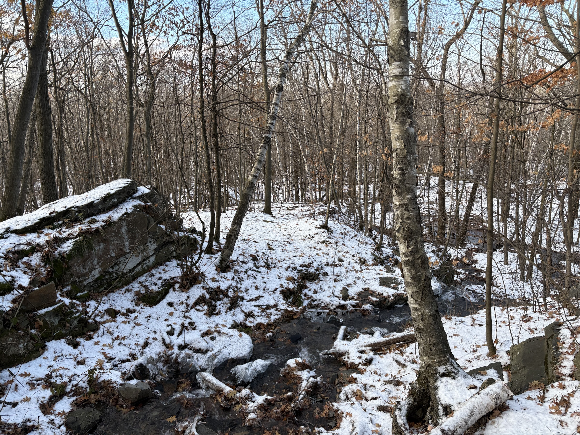 Gallery photo captured on December 1, 2025.