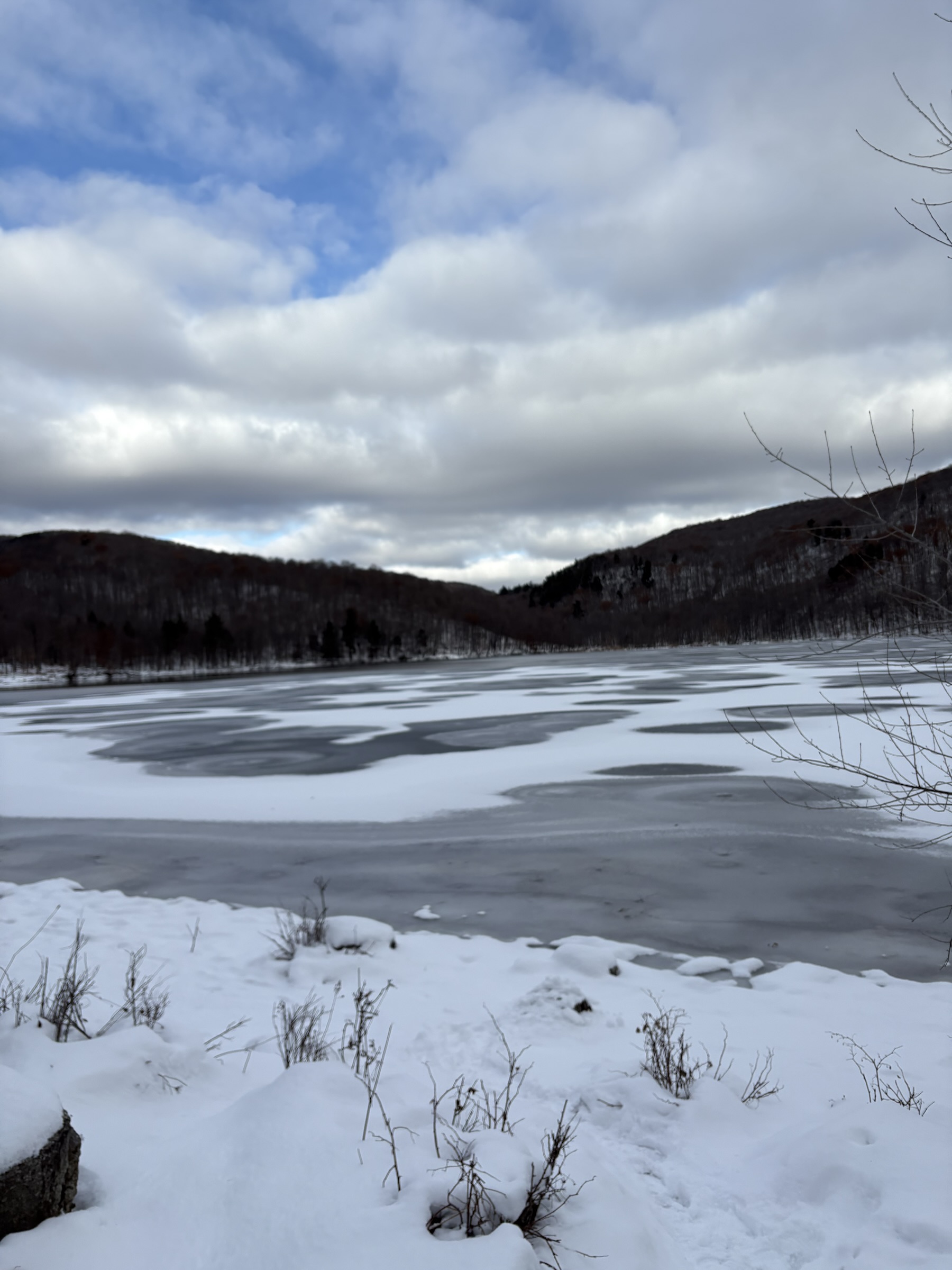 Gallery photo captured on December 1, 2025.